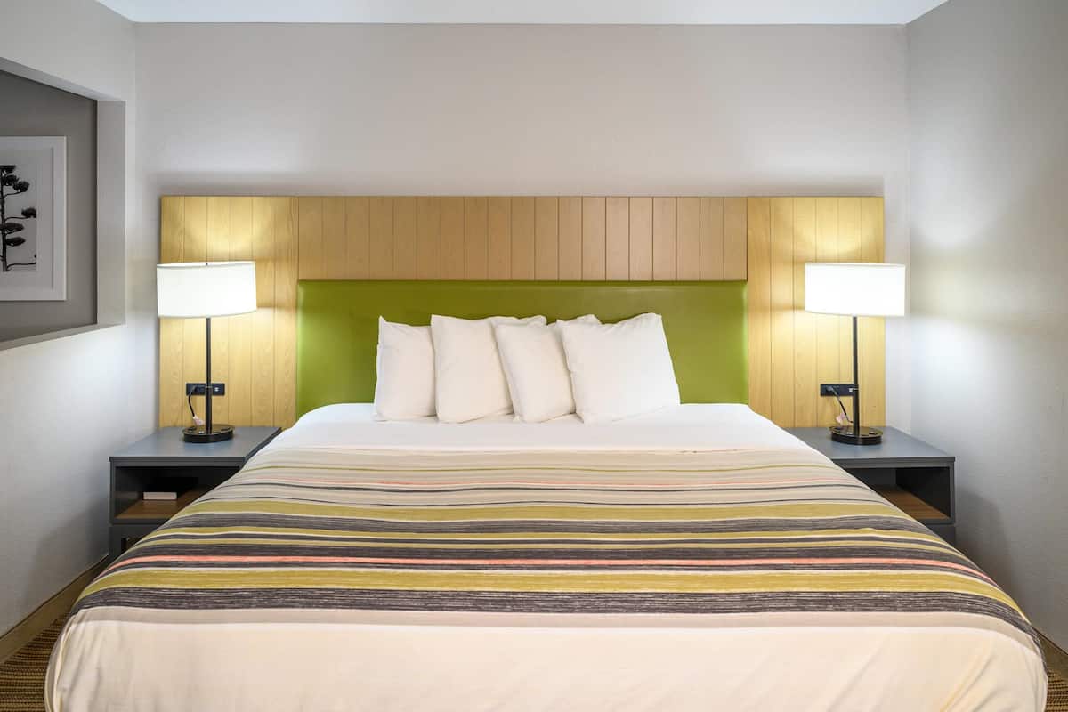 Studio Suite, 1 King Bed with Sofa bed, Non Smoking