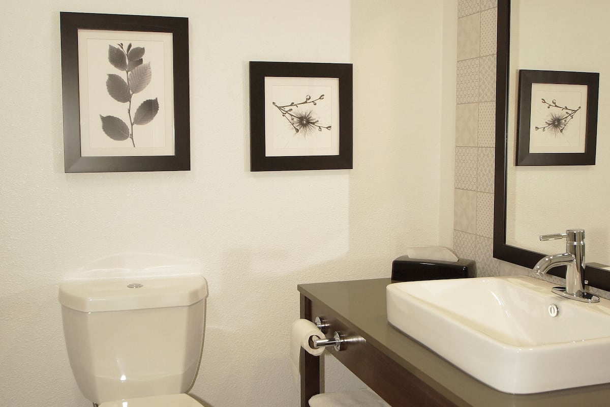 Rainfall showerhead, hair dryer, towels, soap