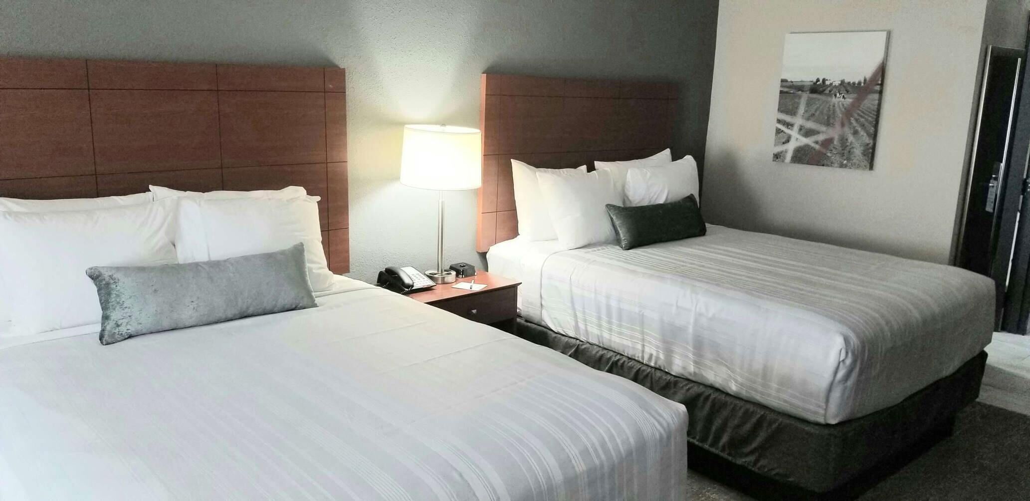 Hypo-allergenic bedding, desk, laptop workspace, blackout curtains