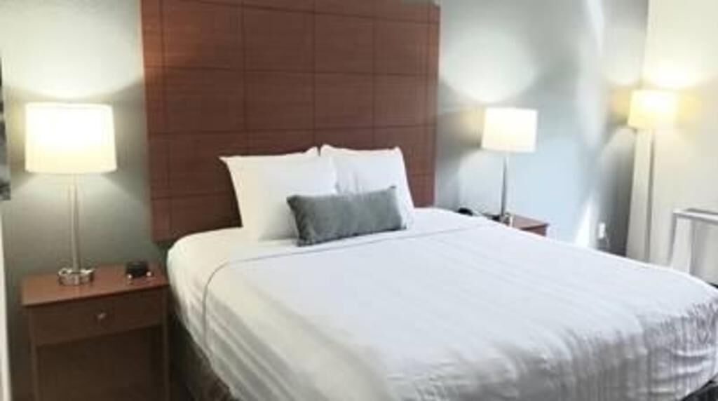 Hypo-allergenic bedding, desk, laptop workspace, blackout curtains