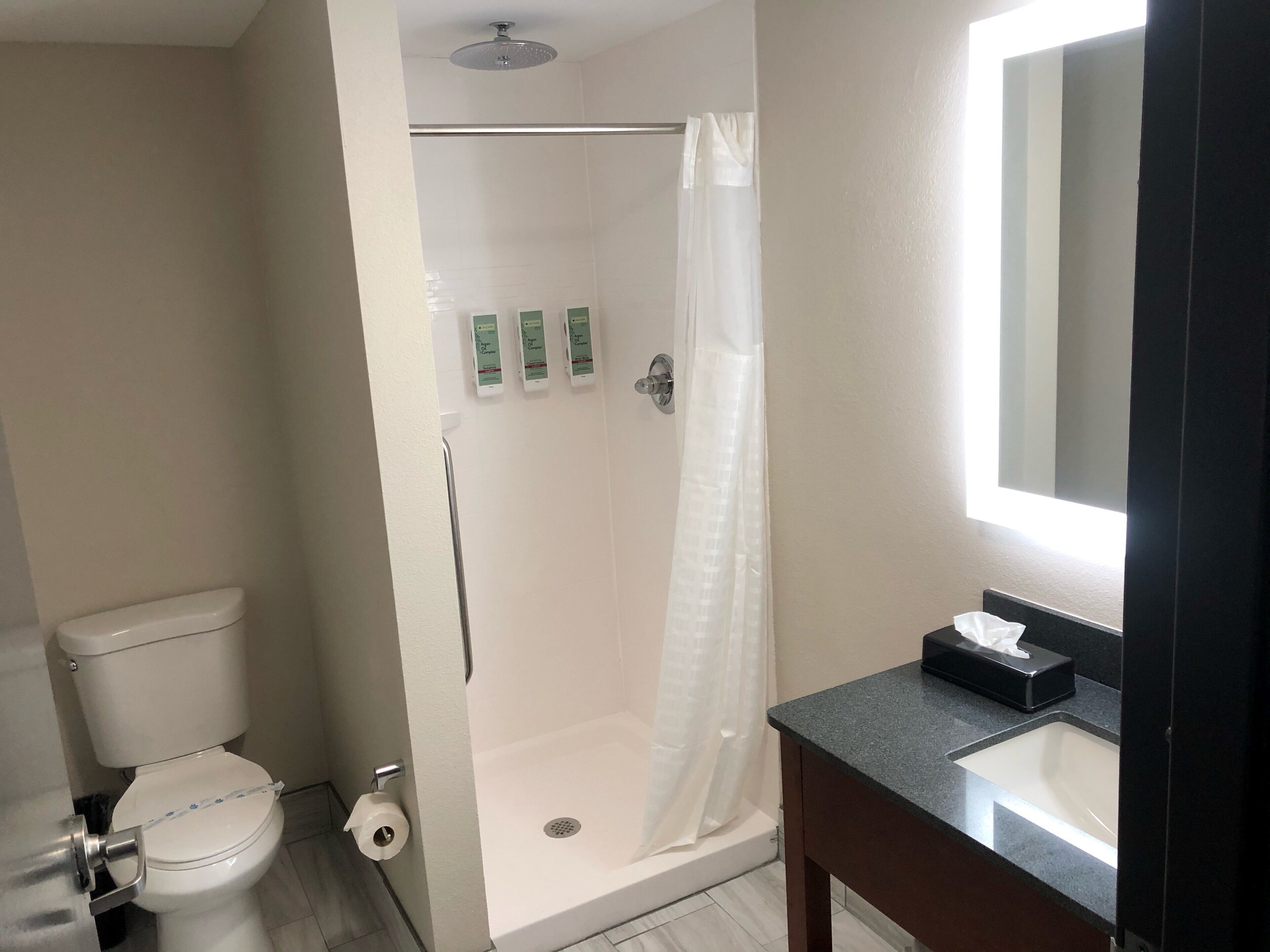 standard room, 1 king bed with sofa bed, non smoking, refrigerator & microwave (with sofabed) | bathroom | free toiletries, hair dryer, towels