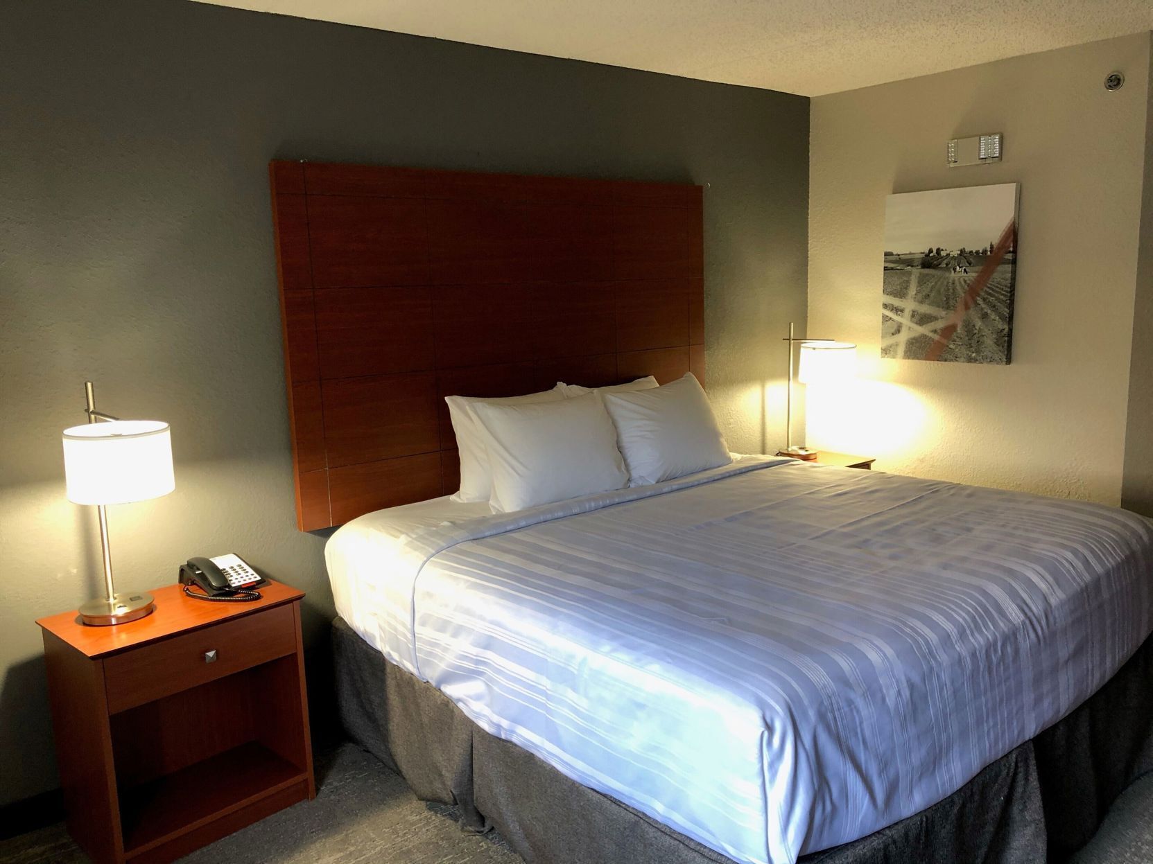 Hypo-allergenic bedding, desk, laptop workspace, blackout curtains