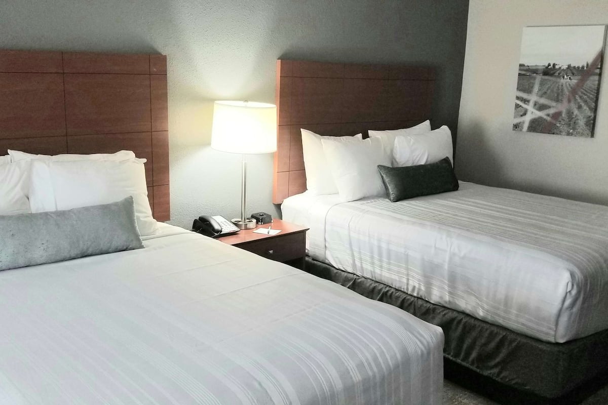 Standard Room, 2 Queen Beds, Non Smoking, Refrigerator & Microwave | Hypo-allergenic bedding, desk, laptop workspace, blackout curtains
