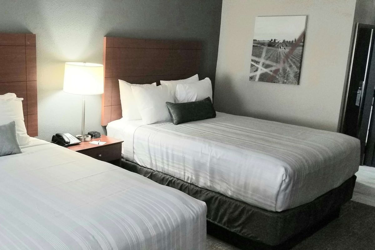 Standard Room, 2 Katil Ratu (Queen), Non Smoking, Refrigerator & Microwave | Peralatan tempat tidur hipoalergenik, meja, ruang kerja komputer riba