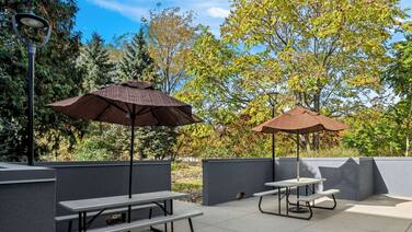 Spark by Hilton Stevensville