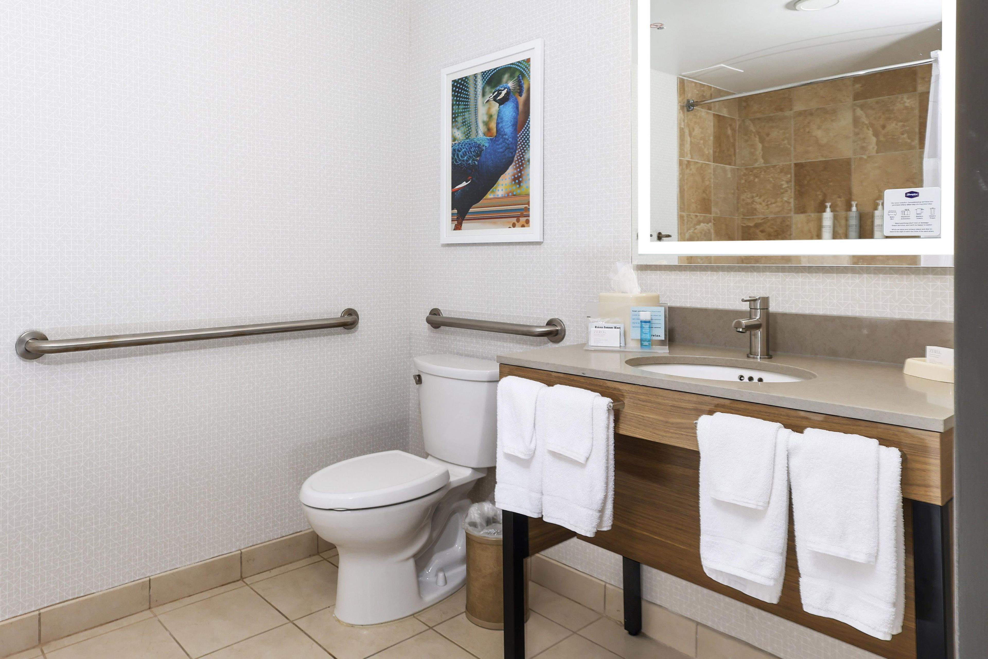 Ein modernes Badezimmer mit Toilette, Bidet, Handläufen, einem Waschbecken und einem Spiegel.