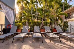 Pool - Hampton Inn Miami-Coconut Grove/Coral Gables (Miami)