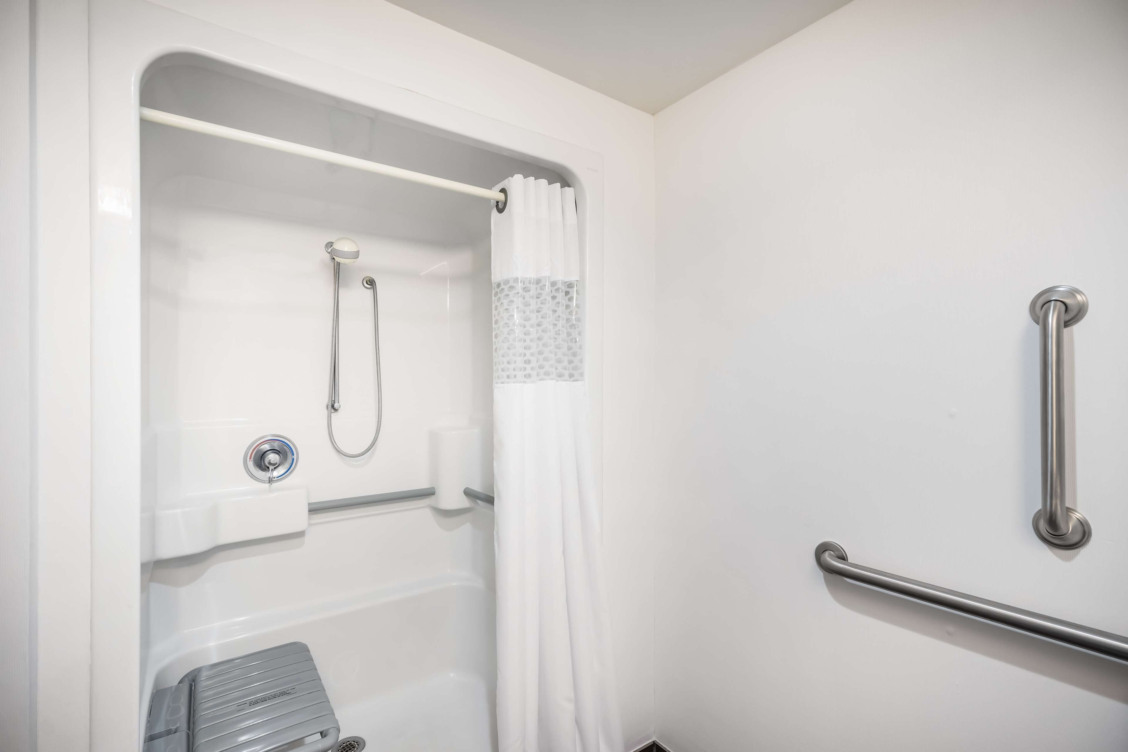 room, 1 king bed, accessible, non smoking (mobility & hearing, roll-in shower) | bathroom shower