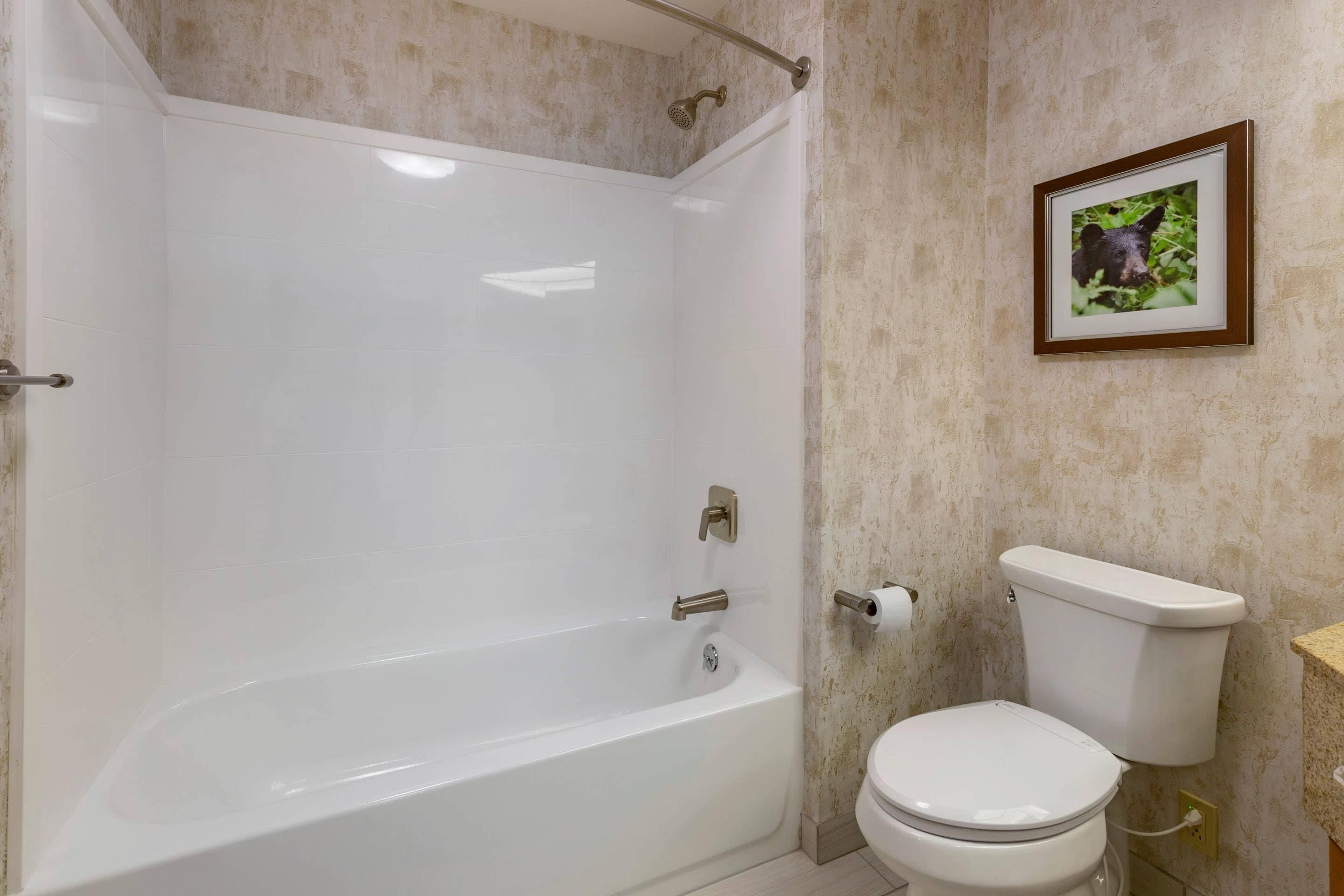 Un baño con bañera, inodoro y un cuadro en la pared.