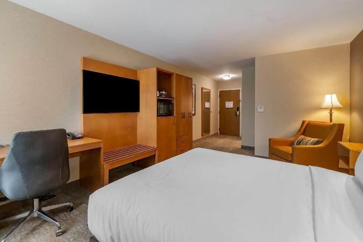 A hotel room with a bed, desk, chair, TV, and a lamp.