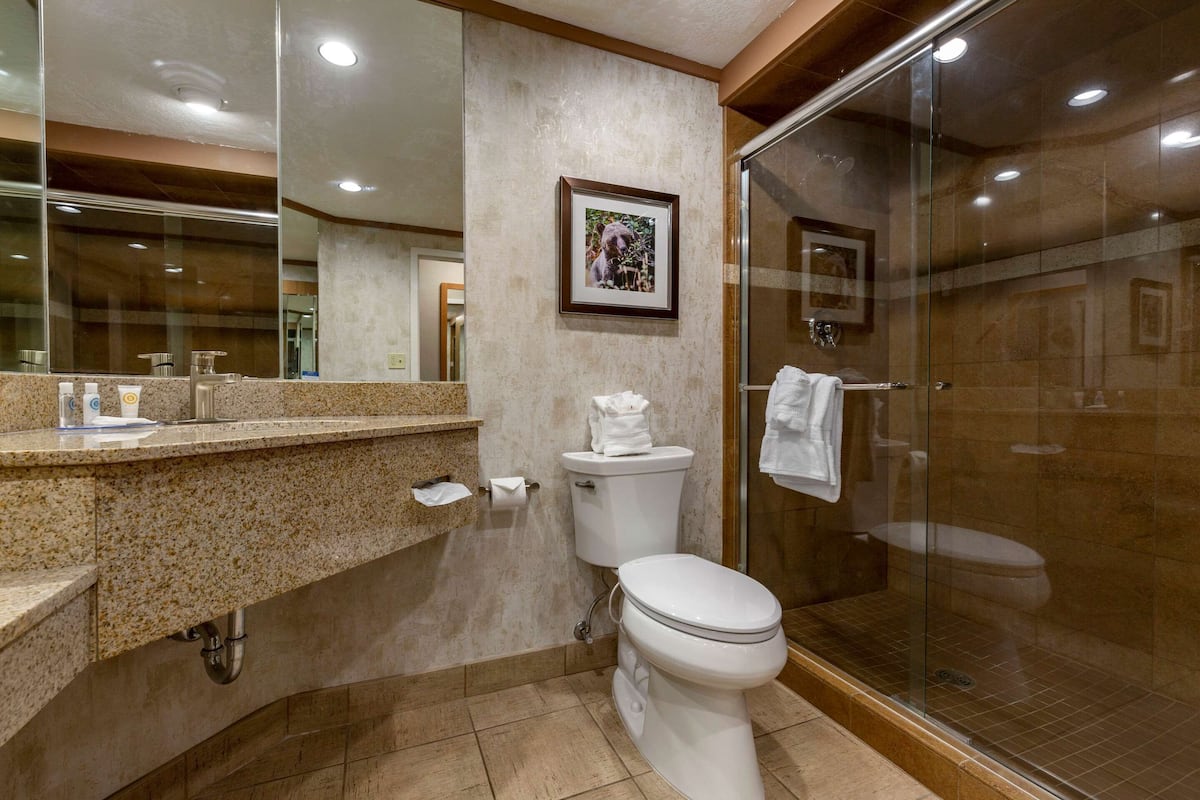 standard room, 1 king bed, non smoking | bathroom | combined shower/bathtub, hydromassage showerhead, hair dryer, towels