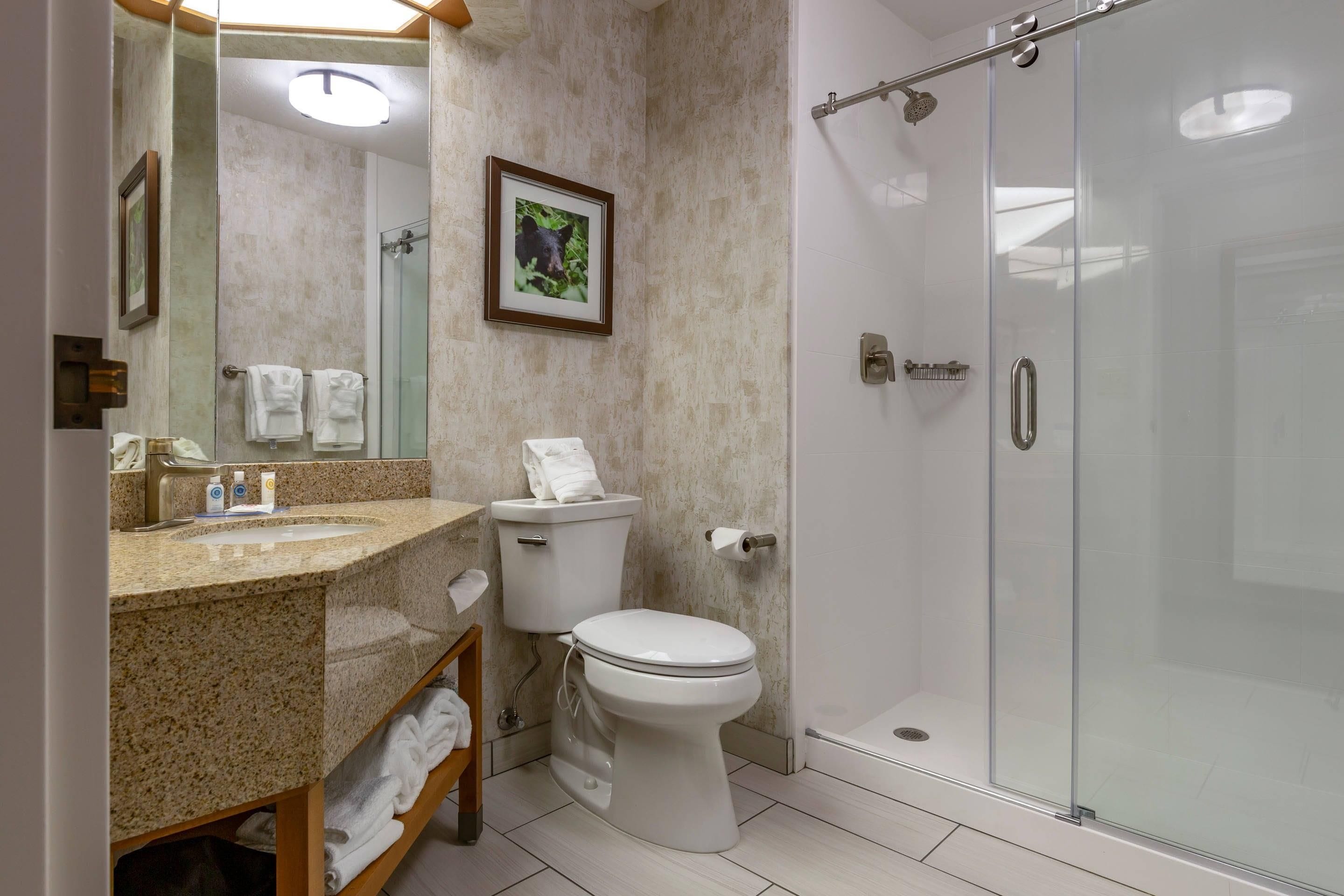 A bathroom with a shower, toilet, sink, and a framed picture on the wall.