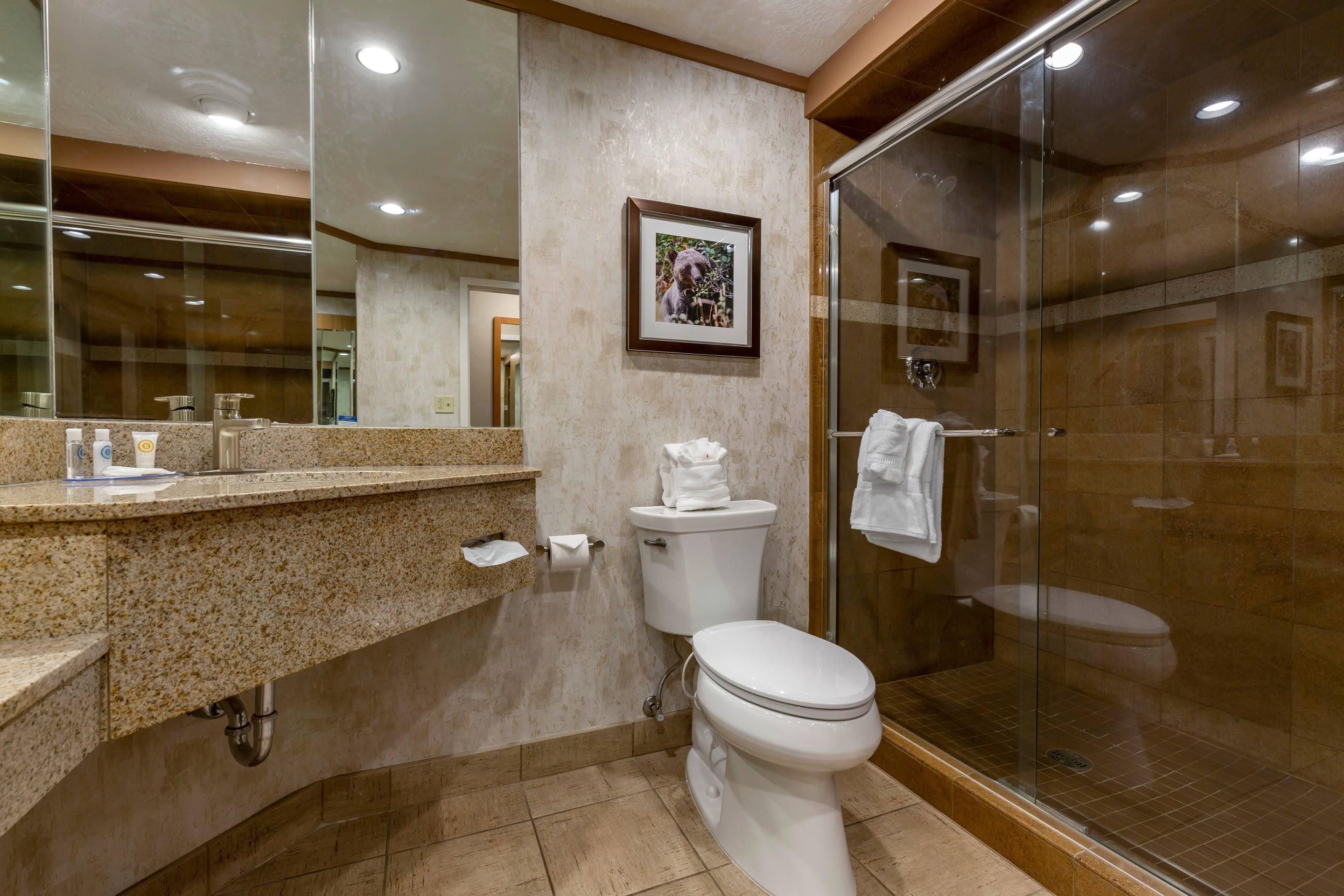 Een moderne badkamer met een douchecabine van glas, een toilet en een wastafel met een marmeren aanrechtblad.