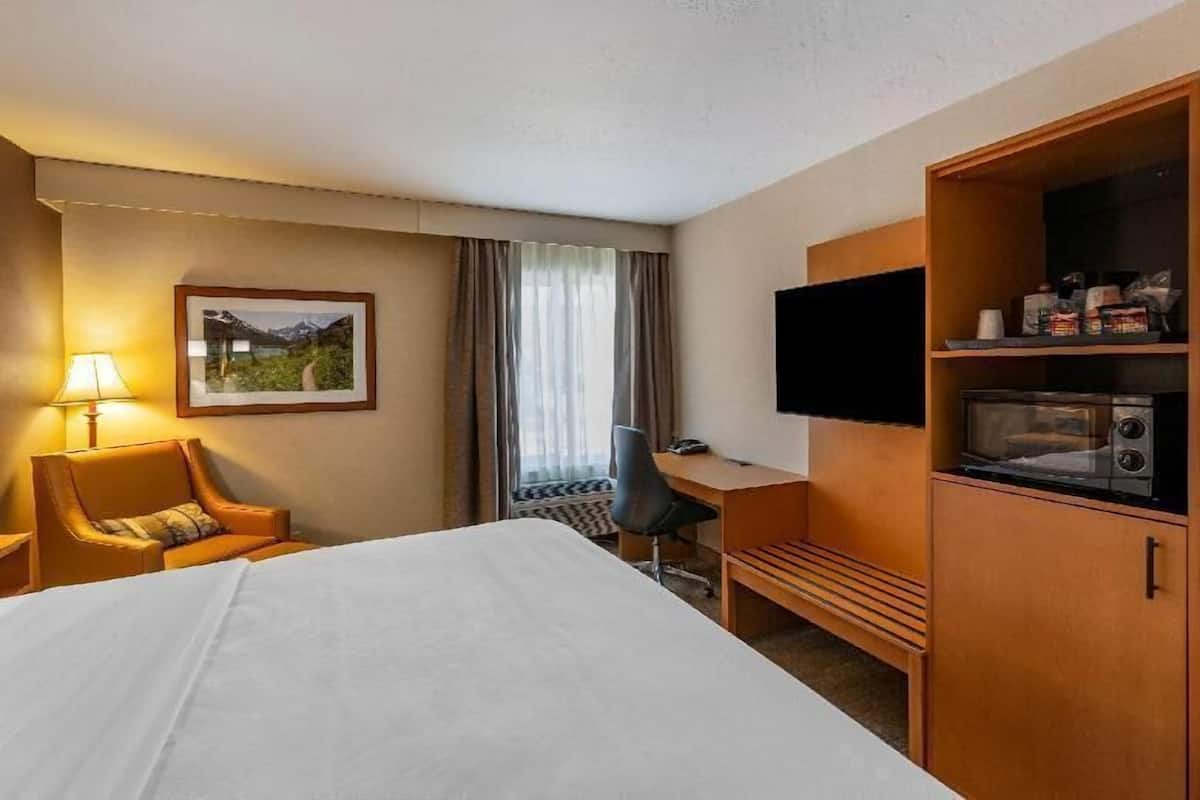 A hotel room with a bed, desk, chair, television, and a microwave.
