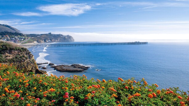 Un paysage côtier avec une jetée qui s’avance dans la mer, un terrain rocheux et des fleurs aux couleurs vives au premier plan.