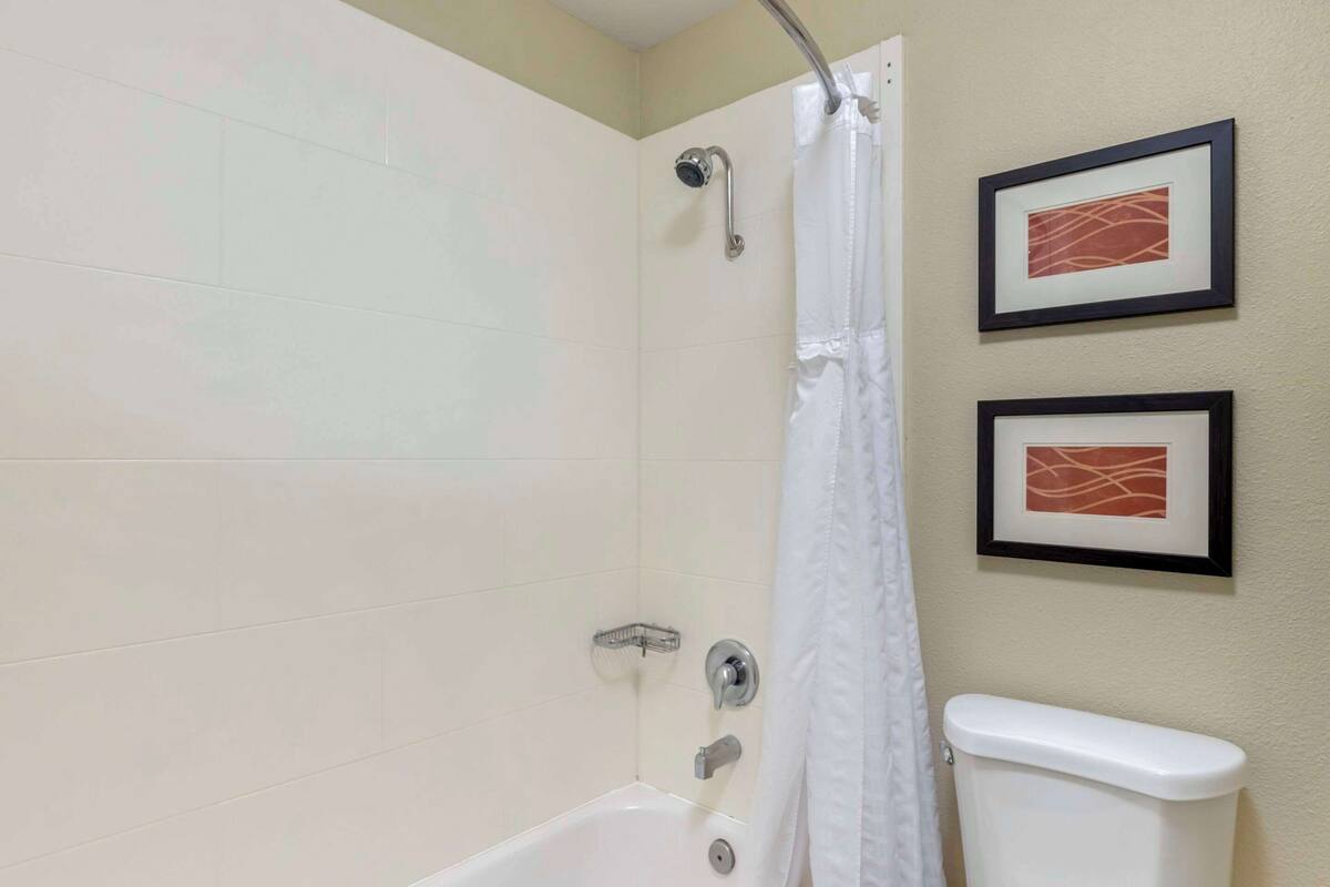 A bathroom with a shower, toilet, and two framed pictures on the wall.
