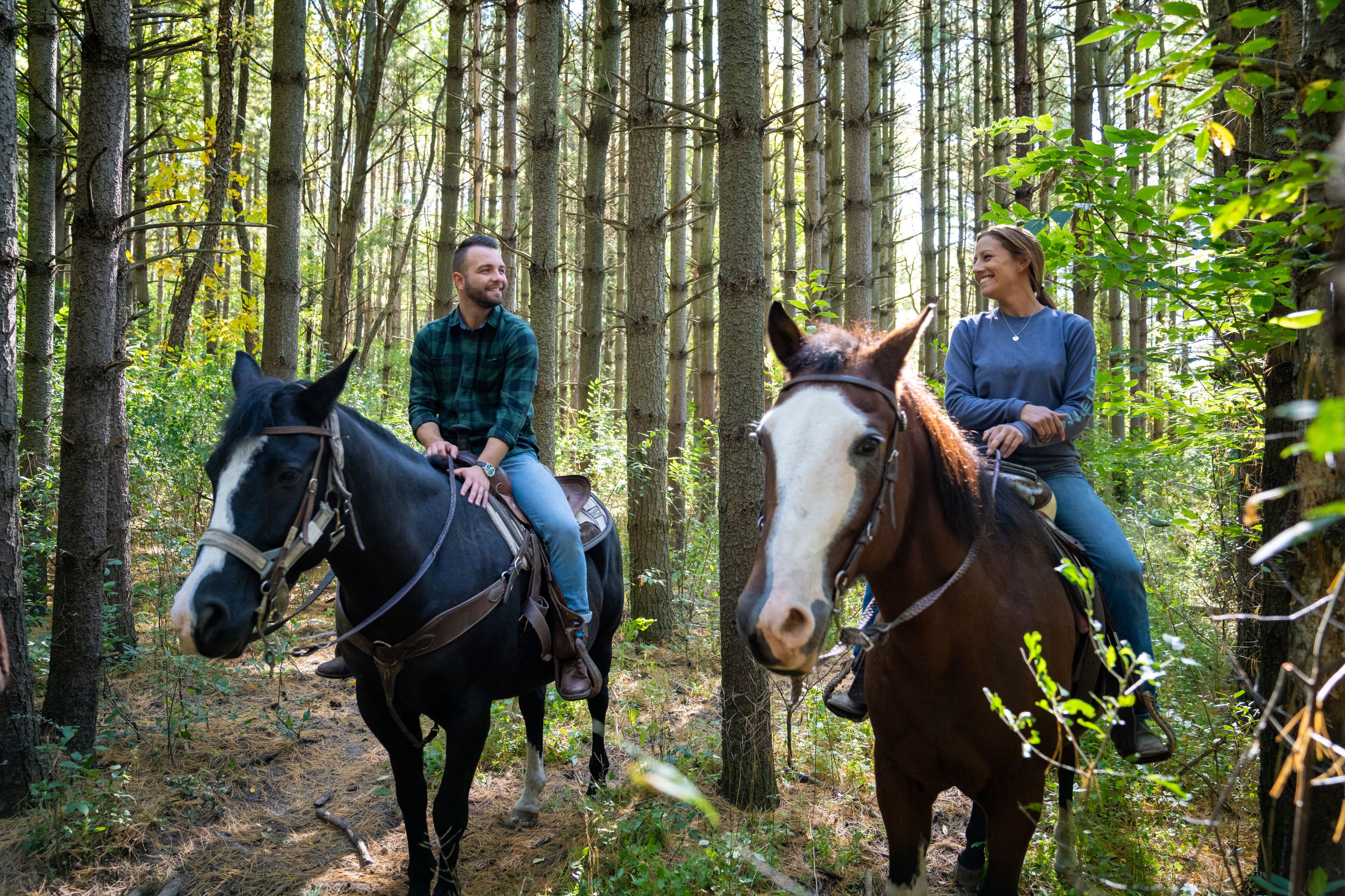To personer rider på heste gennem et skovområde.
