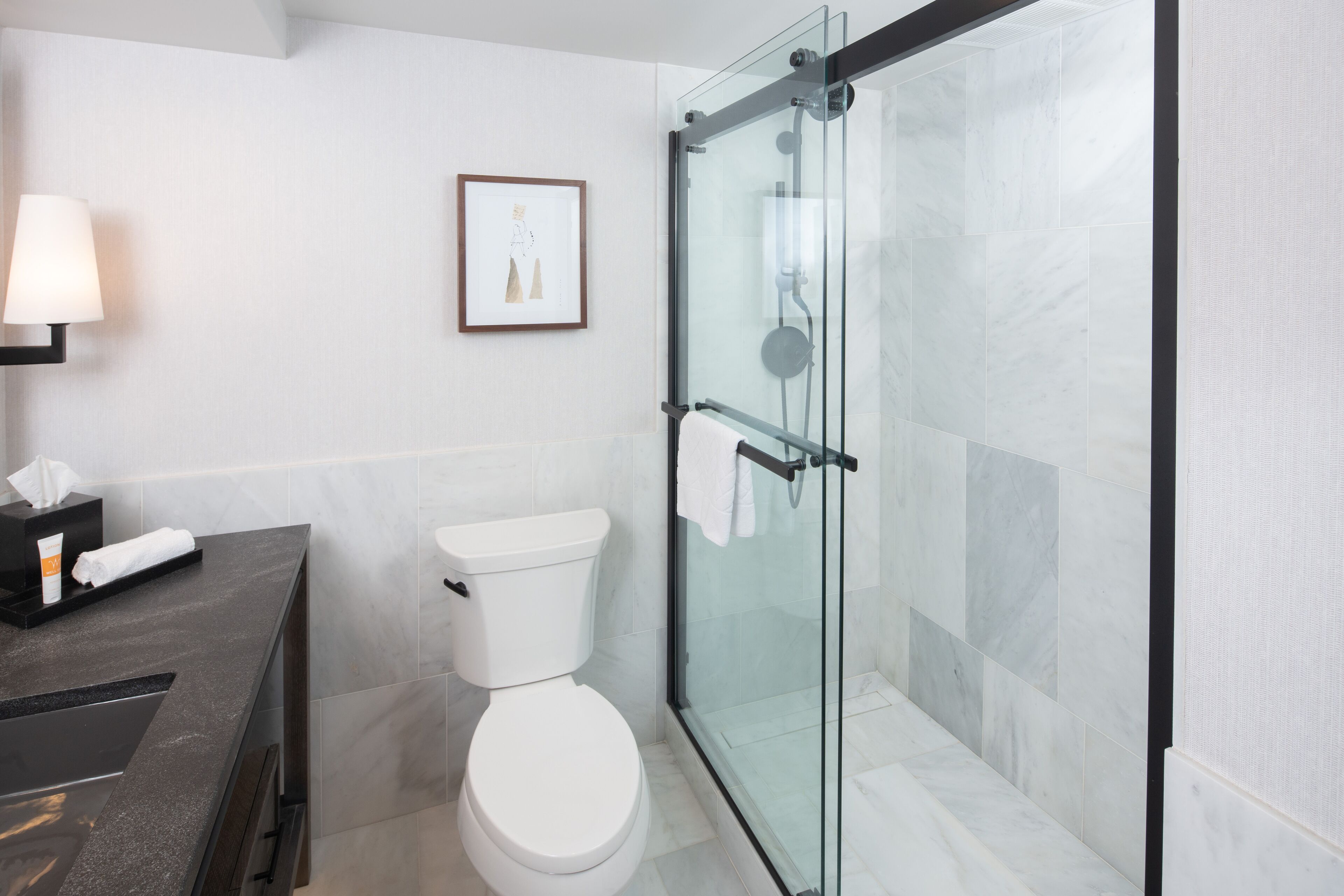 Ein modernes Badezimmer mit einer gläsernen Dusche, einer weißen Toilette und einer dunklen Ablage mit Handtuchhalter.