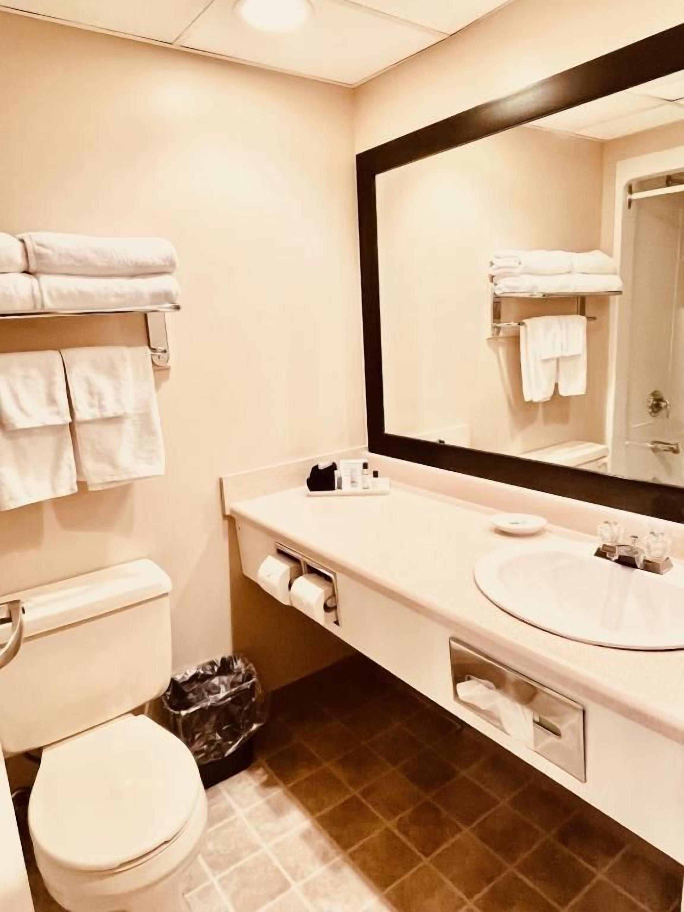 A bathroom with a toilet, sink, mirror, and towel rack.