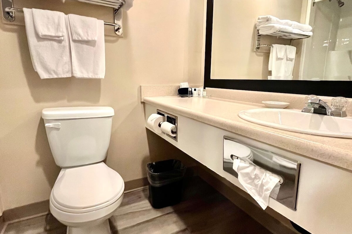 business room, 1 king bed | bathroom | combined shower/bathtub, hair dryer, towels