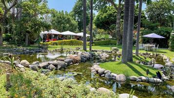 Un jardín con un estanque, rocas y una zona de comedor con sombrillas.