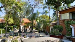 Un patio con diversos cactus, un pequeño estanque con nenúfares y un banco de piedra.