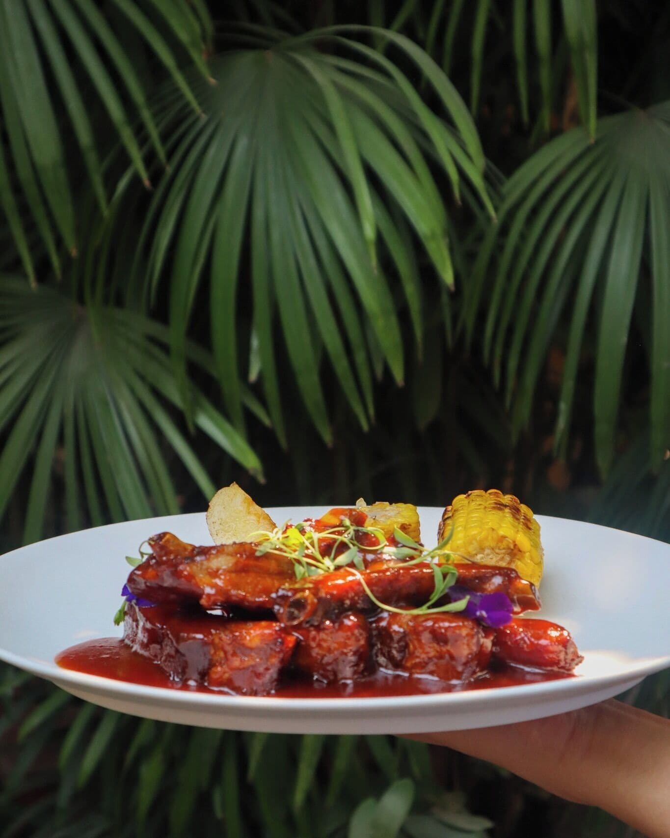 A plate of food with grilled meat and vegetables, held in front of a background of green foliage.