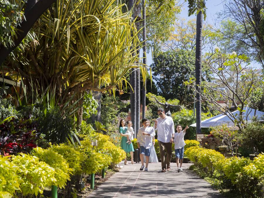 A pathway lined with various plants and trees, leading to a building with a covered area.