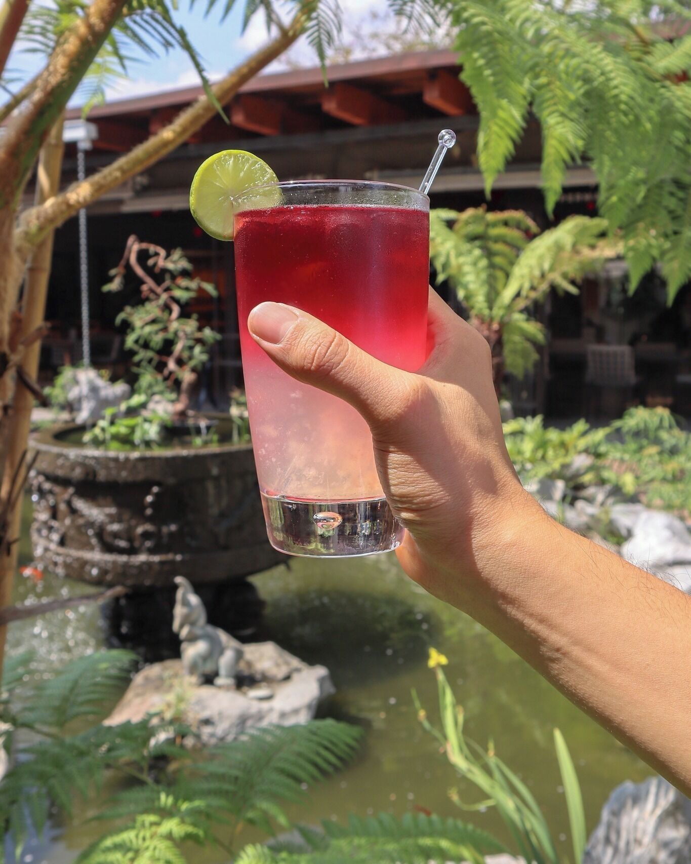 A hand holding a glass with a red drink, garnished with a lime, in front of a garden with a fountain and tropical plants.