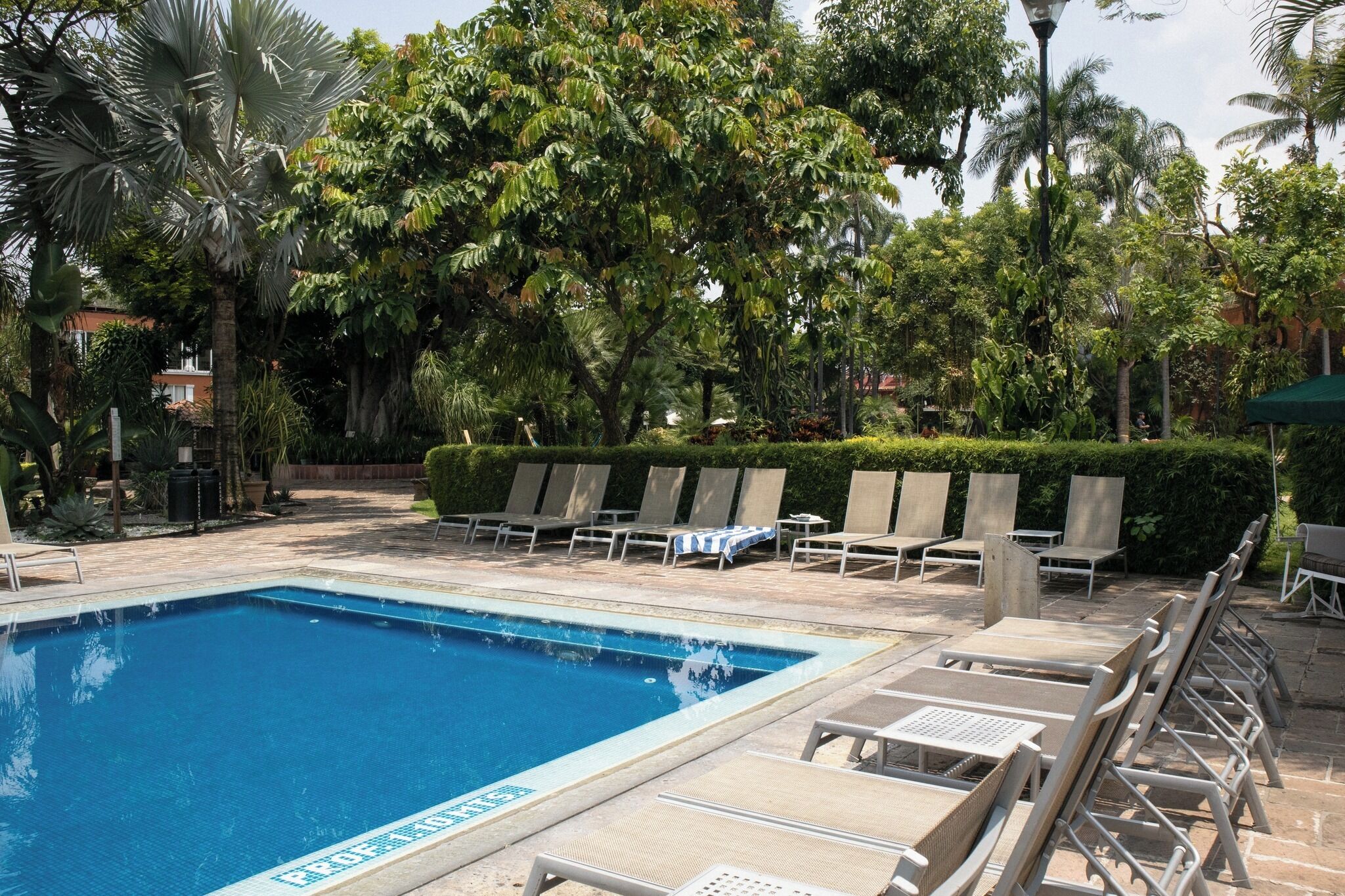 A swimming pool with lounge chairs and a hedge in the background.