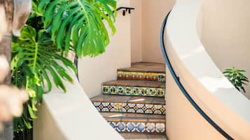 Un escalier aux carreaux colorés, un luminaire fixé au mur et une plante.