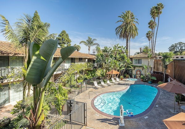 Outdoor pool, open 9:00 AM to 9:00 PM, pool umbrellas, sun loungers