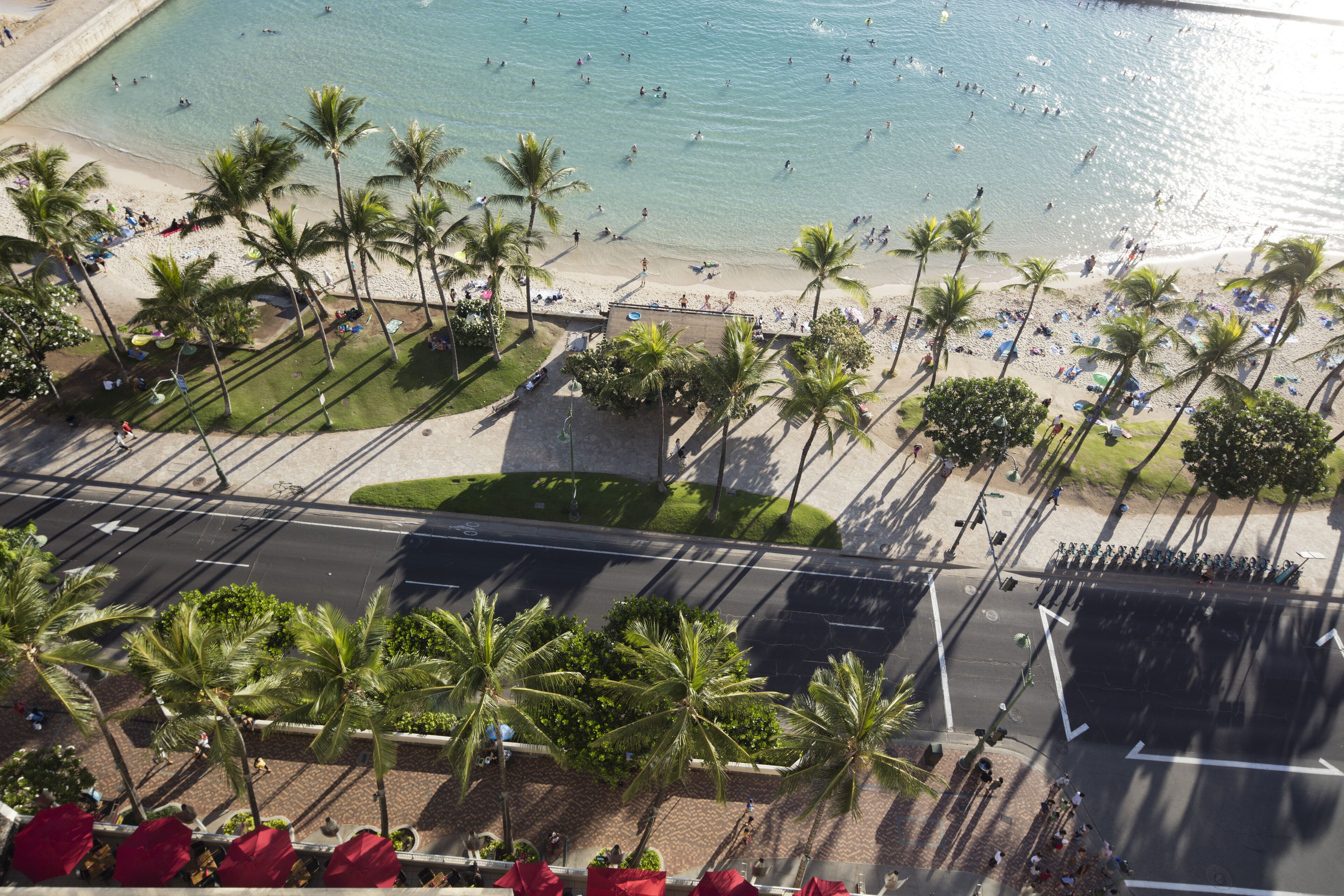 An aerial view of a beach with palm trees, people, and a road.