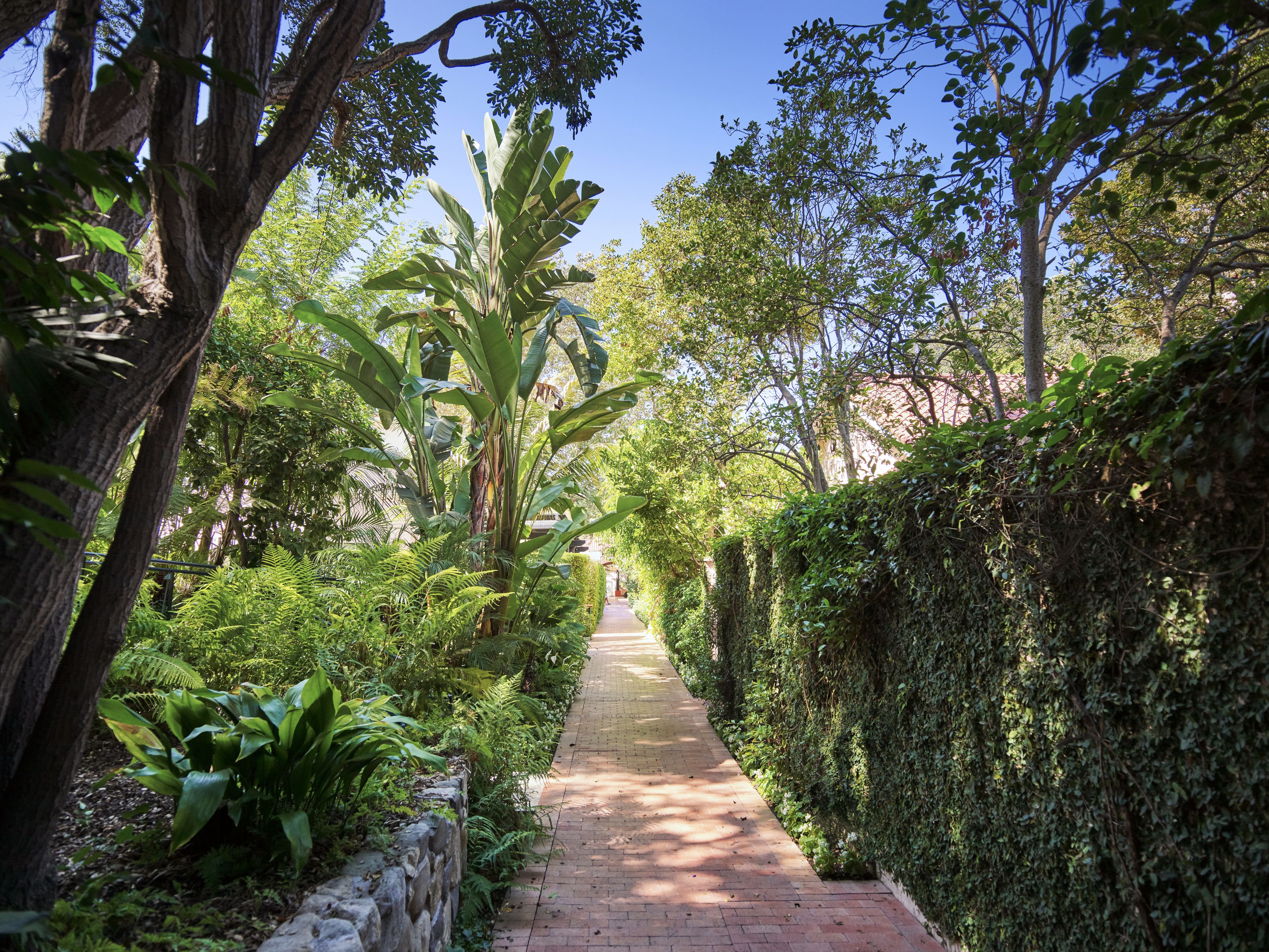 A pathway flanked by lush greenery and a stone wall, leading towards a building.