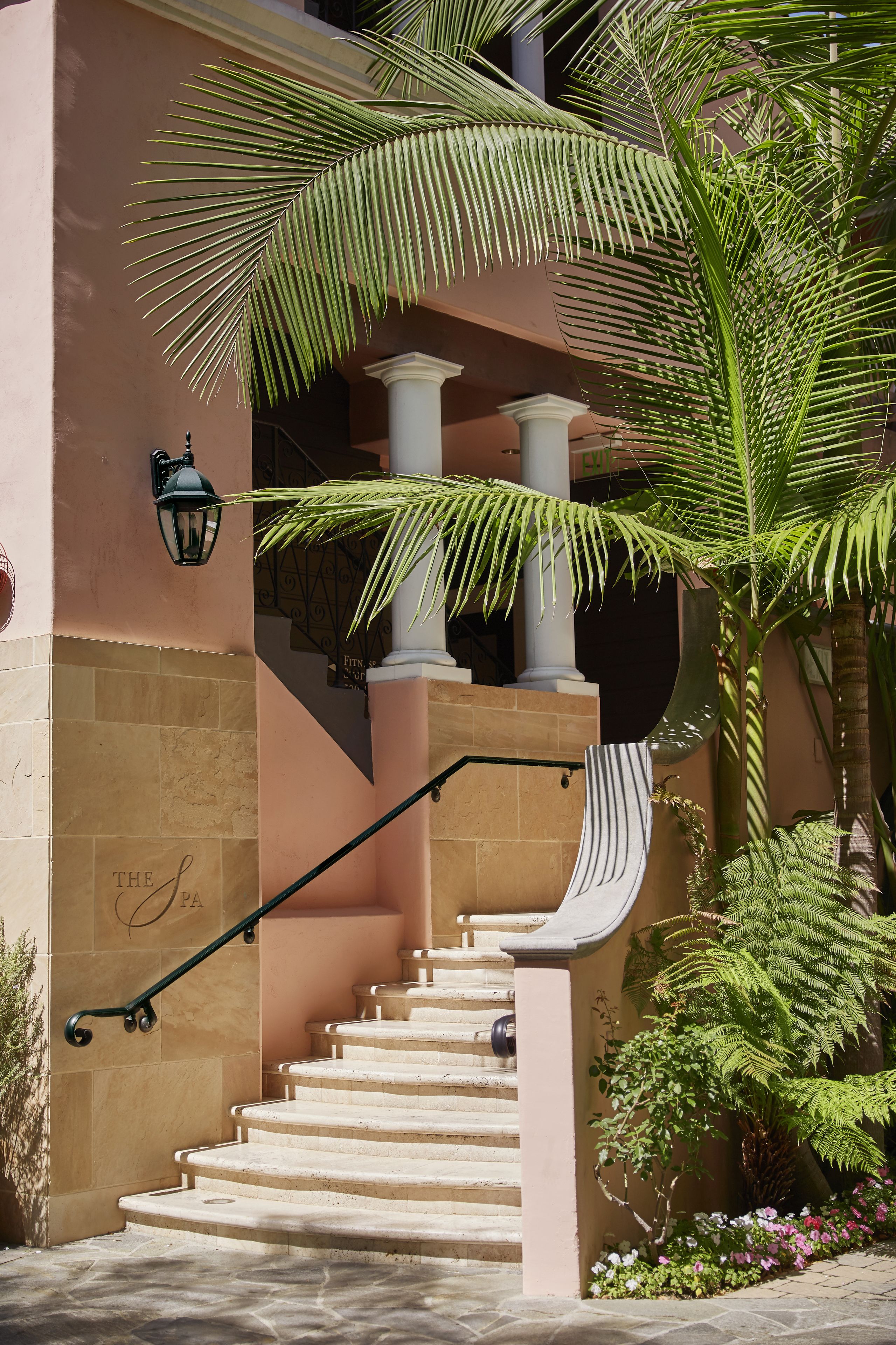 Una escalera con una palmera y un farol.