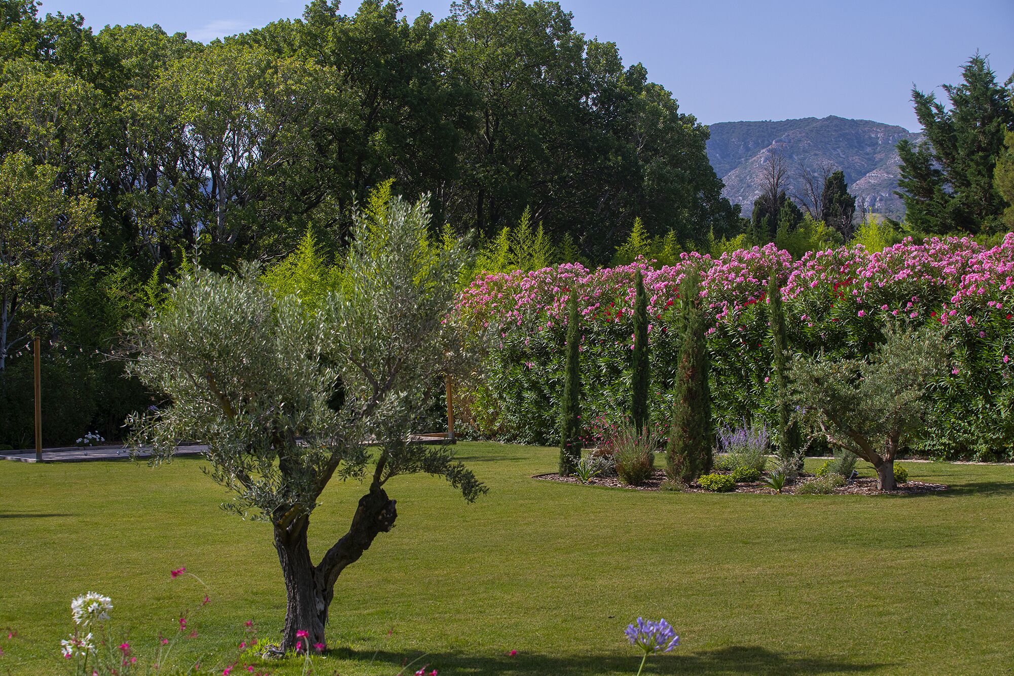 Photo - Le Vallon de Valrugues Hotel Spa & Villas