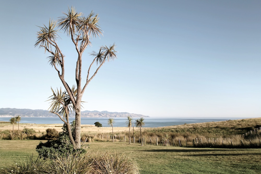 Wharekauhau Country Estate by null