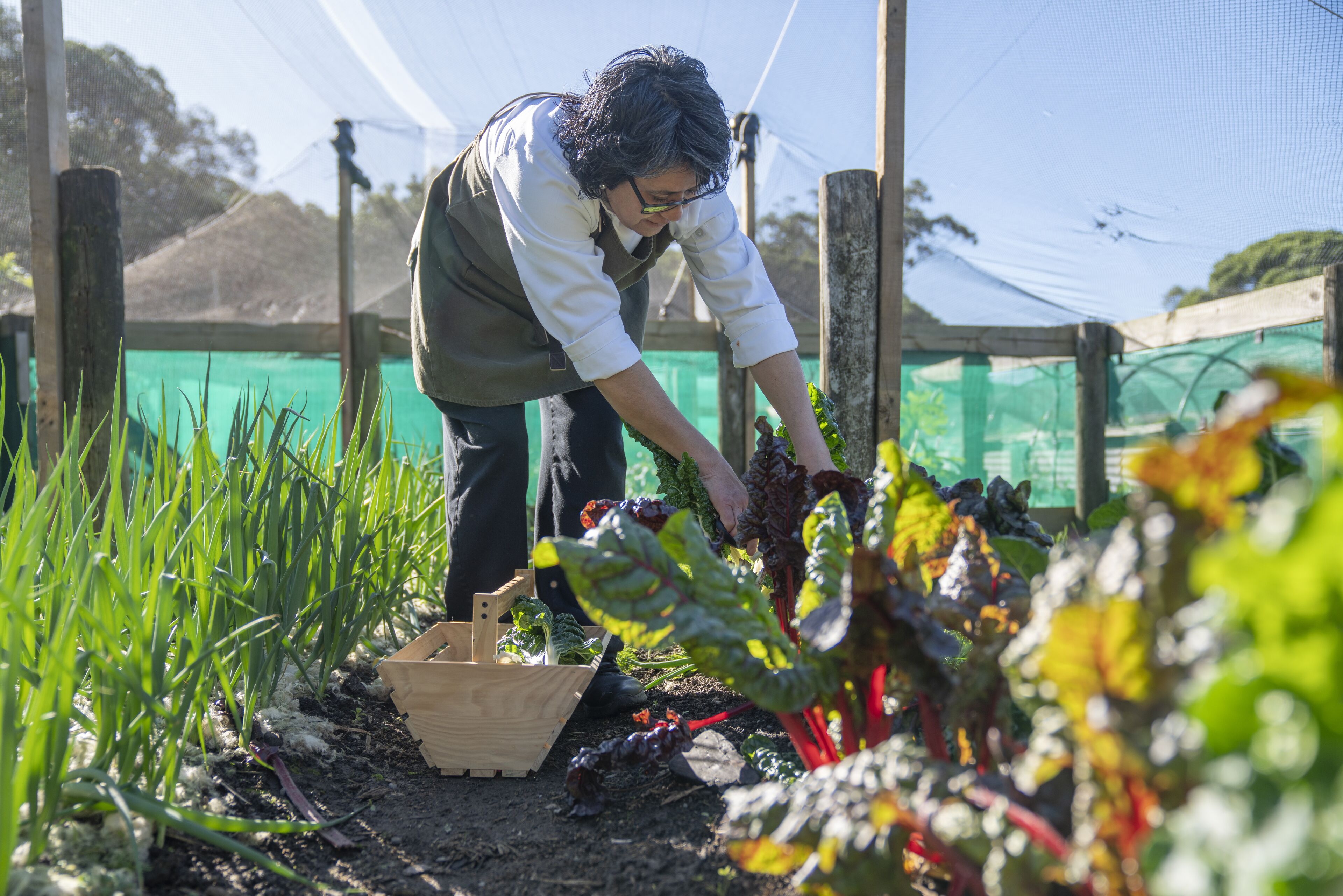 A person tending to a garden with a wooden crate and a netted structure in the background.