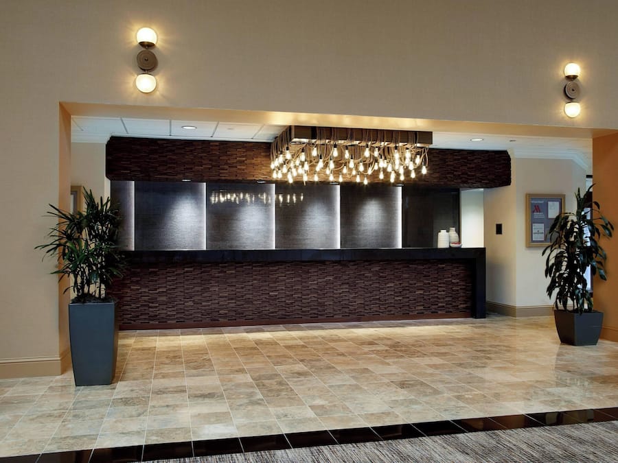 Zona de recepció amb un disseny modern, amb un taulell de recepció de fusta fosca, una làmpada de cristall i dues plantes en testos.