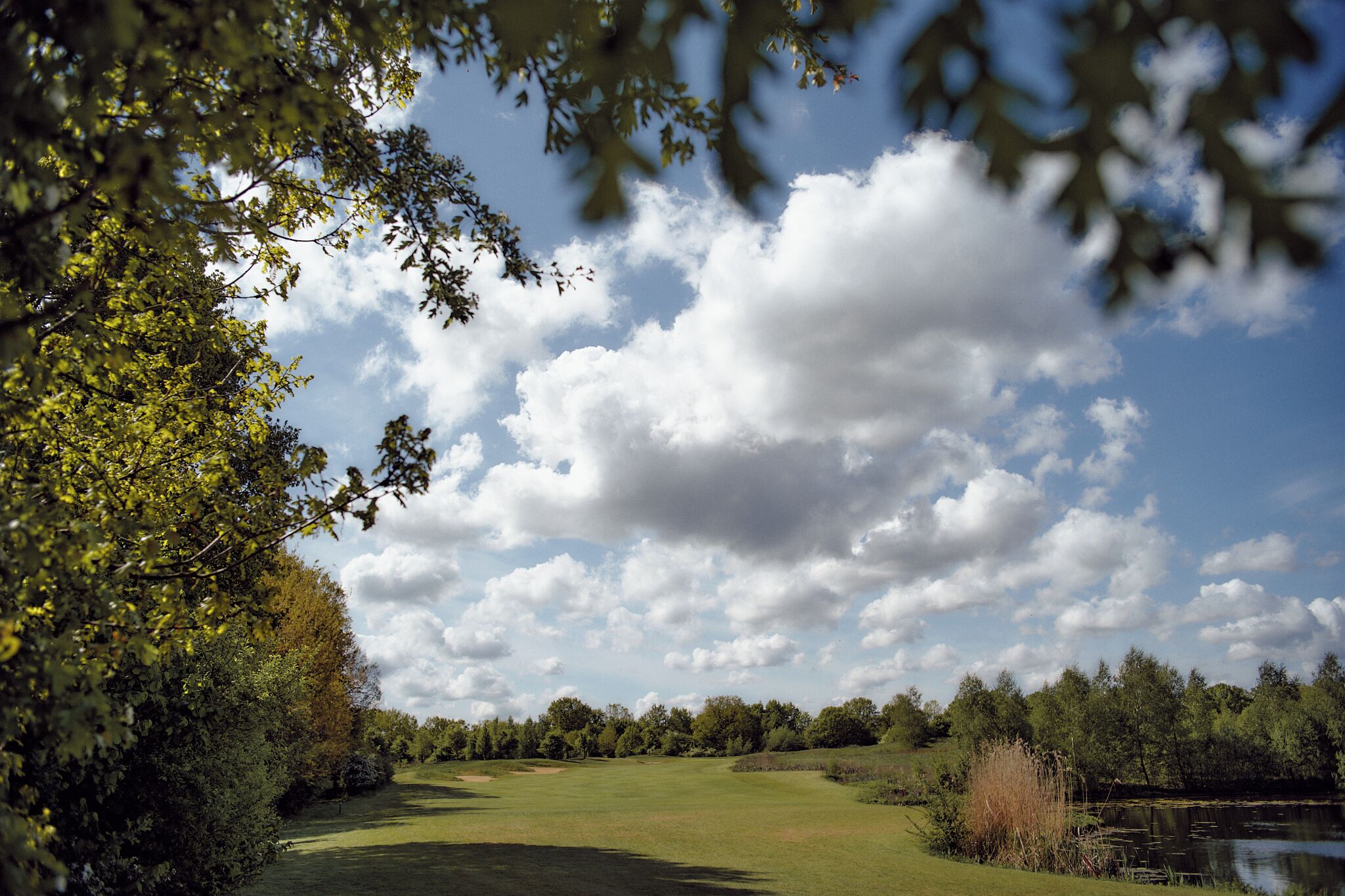Un campo de golf con un estanque, rodeado de árboles y un cielo despejado.