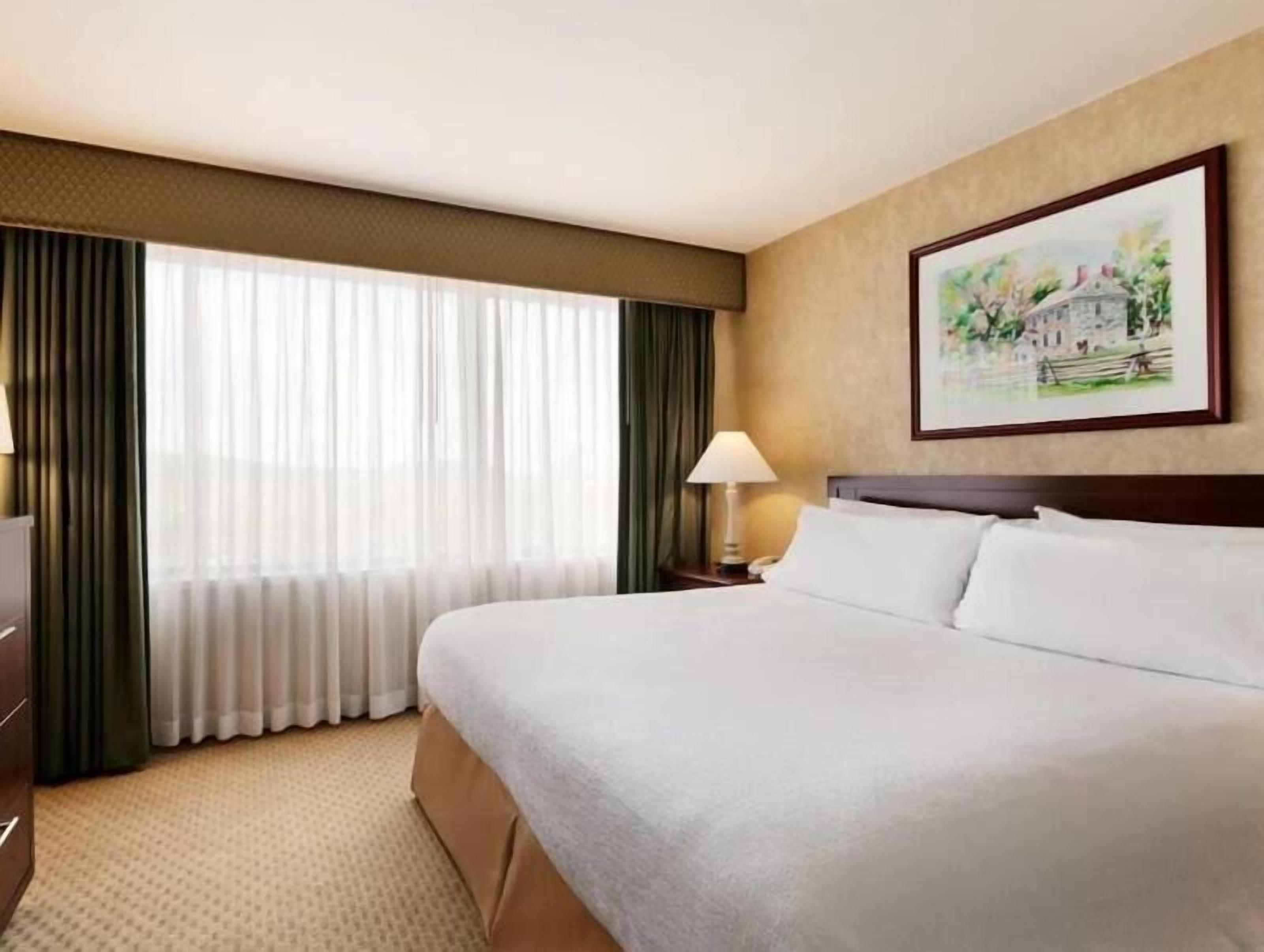 Premium bedding, desk, iron/ironing board, free cribs/infant beds
