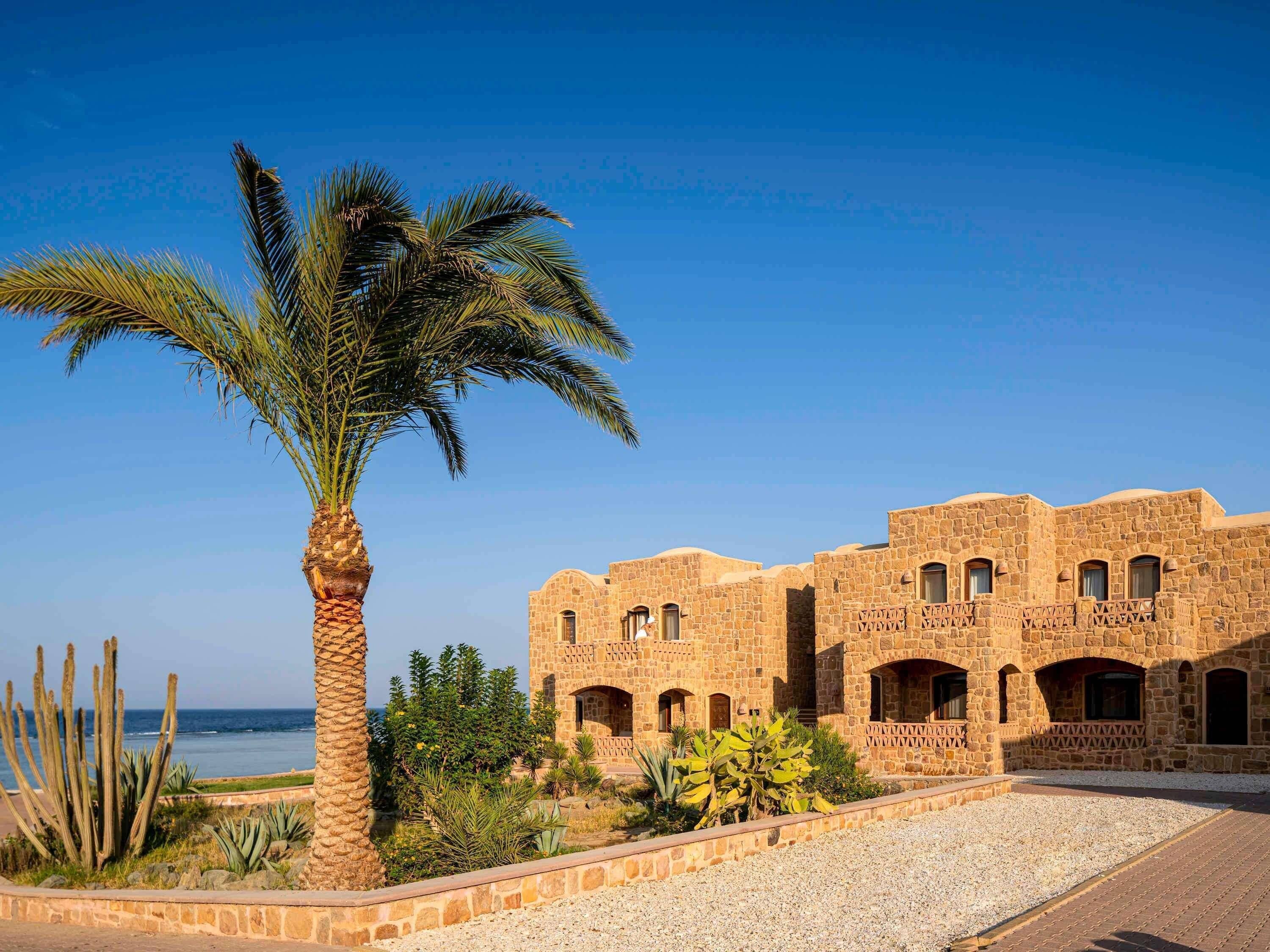 A historic stone building with arched windows and a palm tree in the foreground.