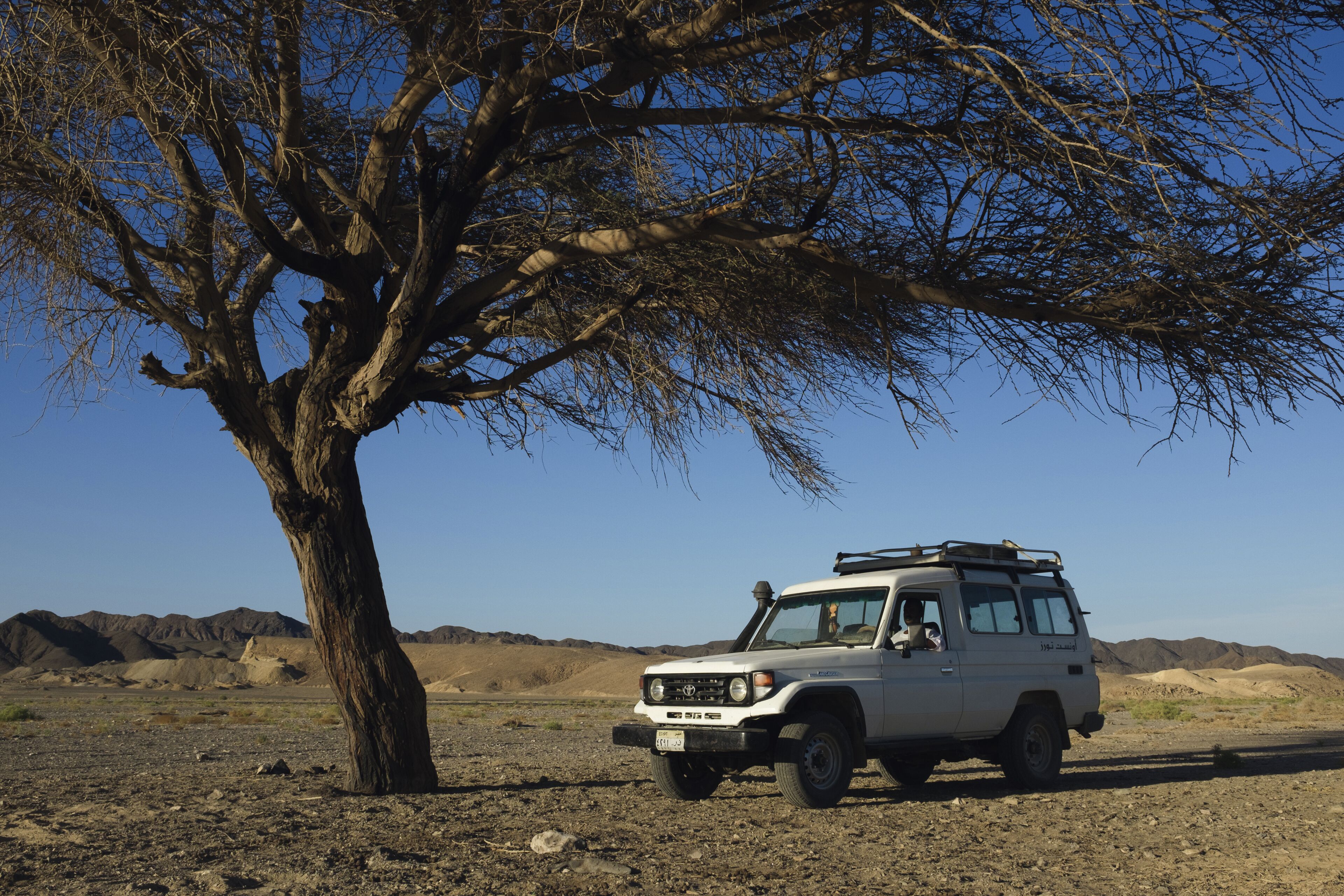 A white SUV parked under a tree in a desert landscape with mountains in the background.
