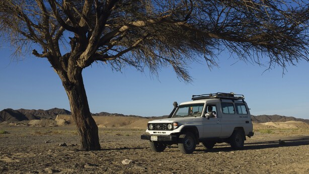 رحلة سفاري