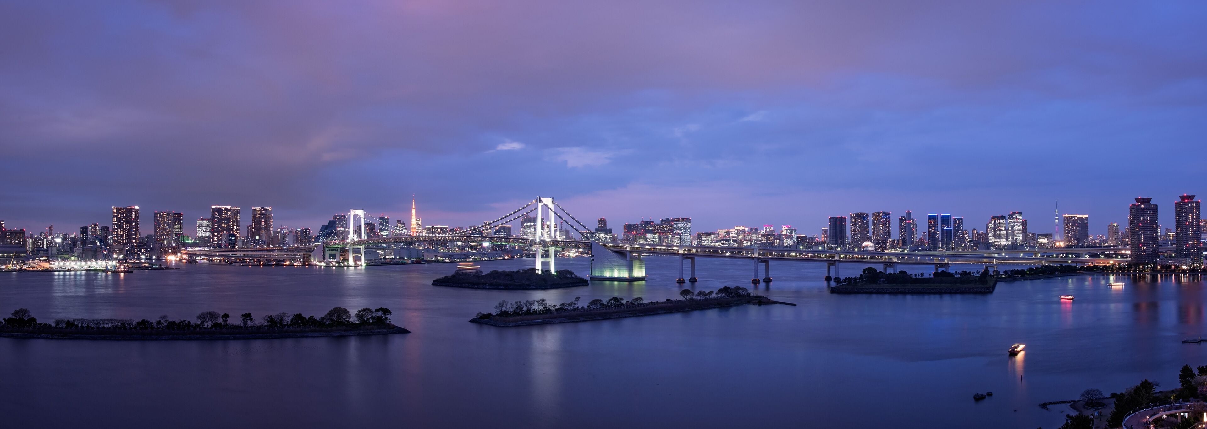 royal garden suite - non-smoking - 200sqm - private garden - reinbow bridge and tokyo tower view - e | view from room