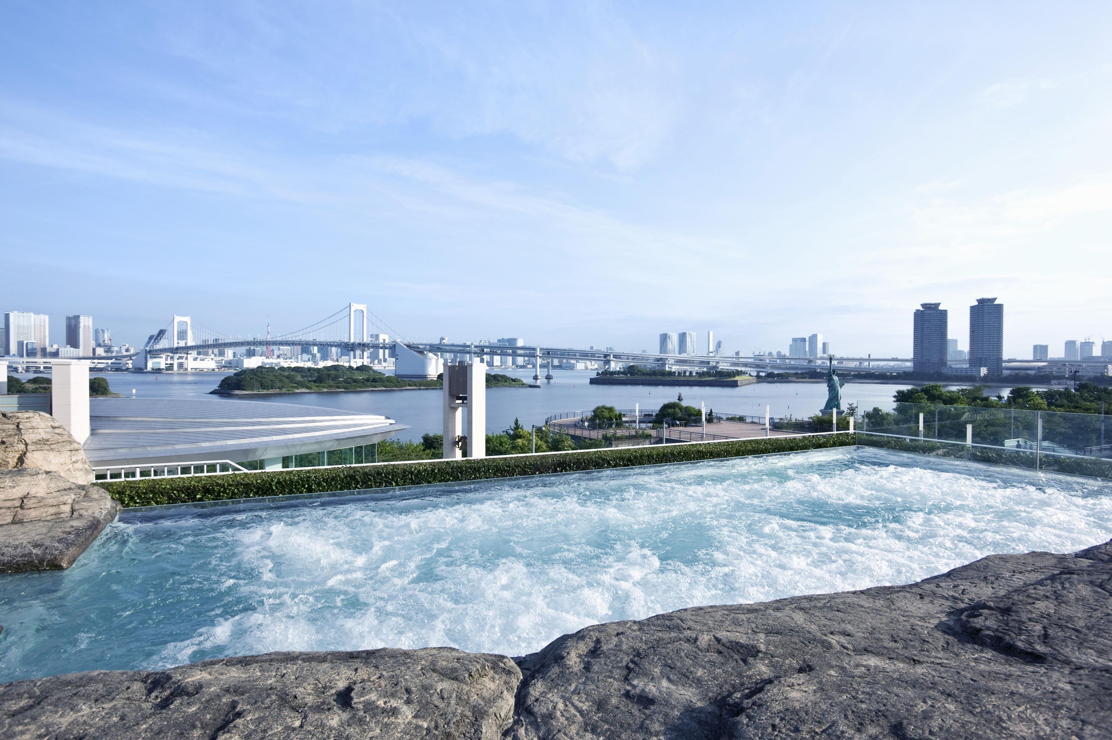 A rooftop infinity pool with a view of a city skyline and a bridge.