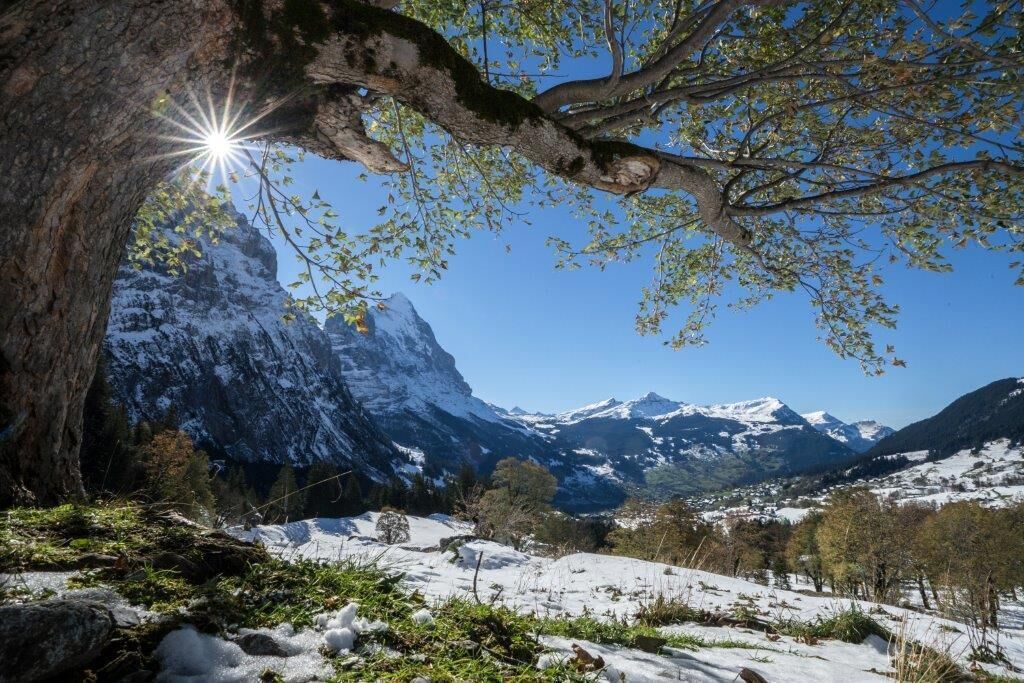 Land view from property