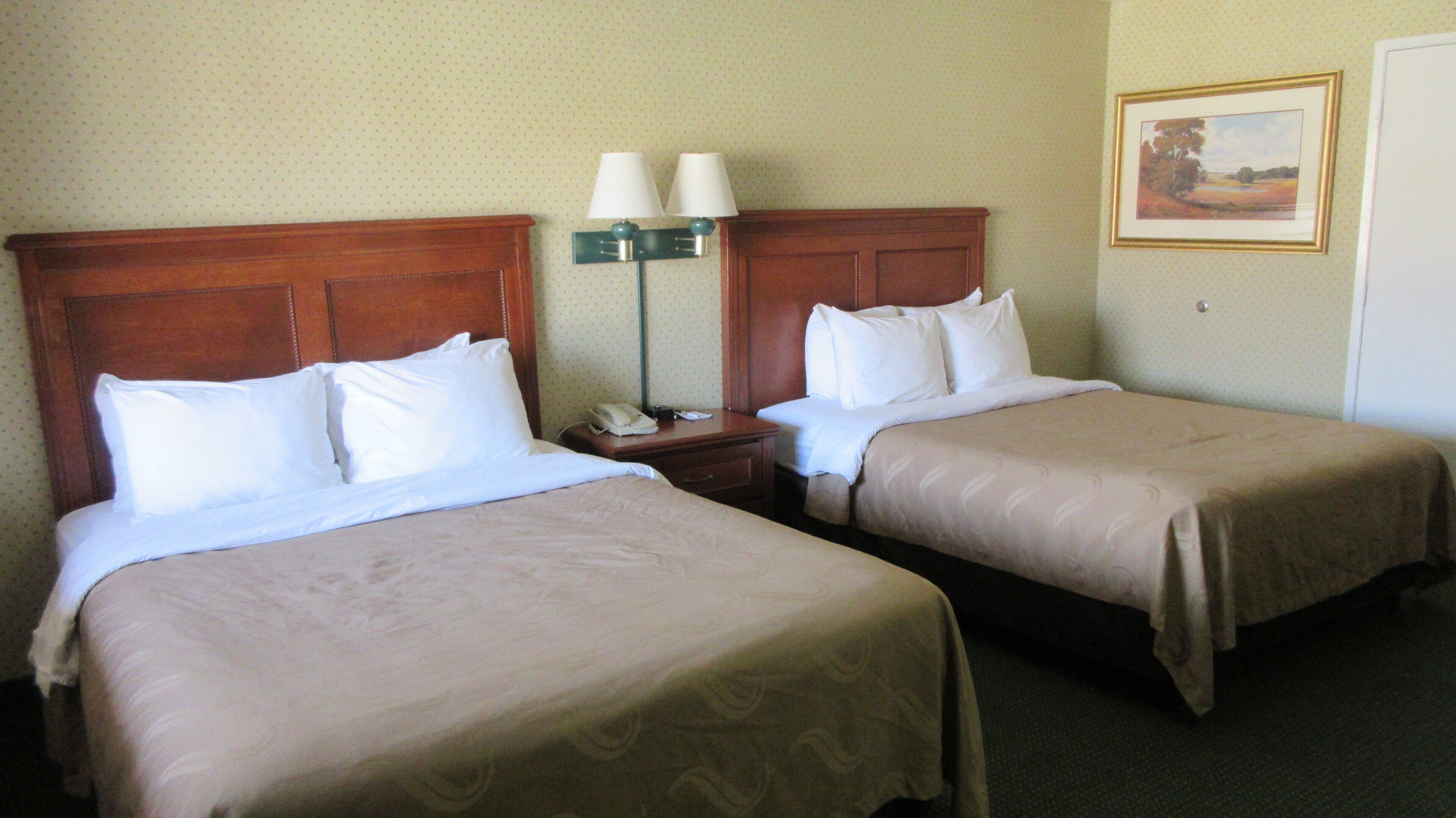A hotel room with two single beds, a nightstand with a lamp, and a framed picture on the wall.