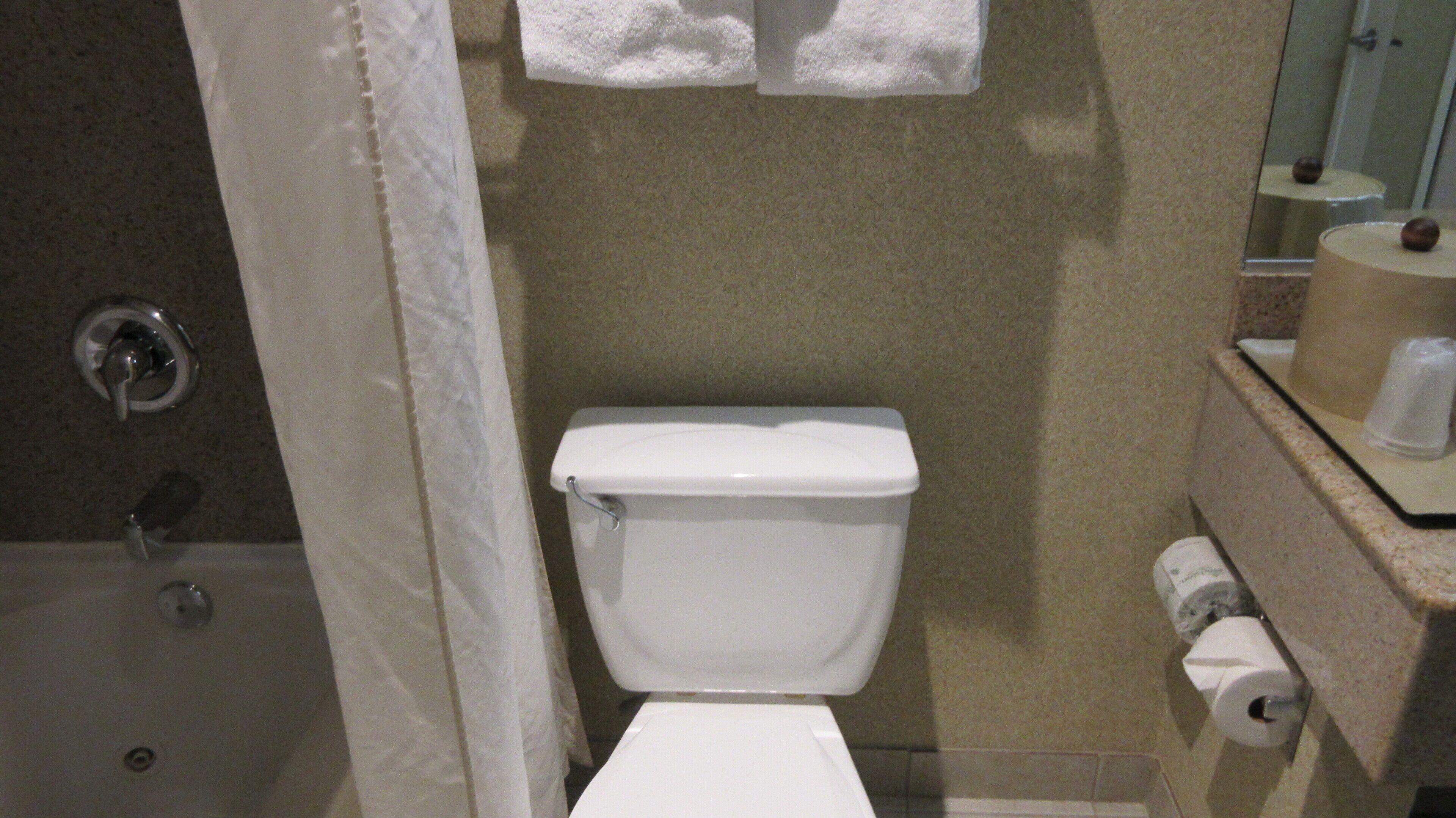 Ein Badezimmer mit Toilette, Dusche und Handtuchhalter.