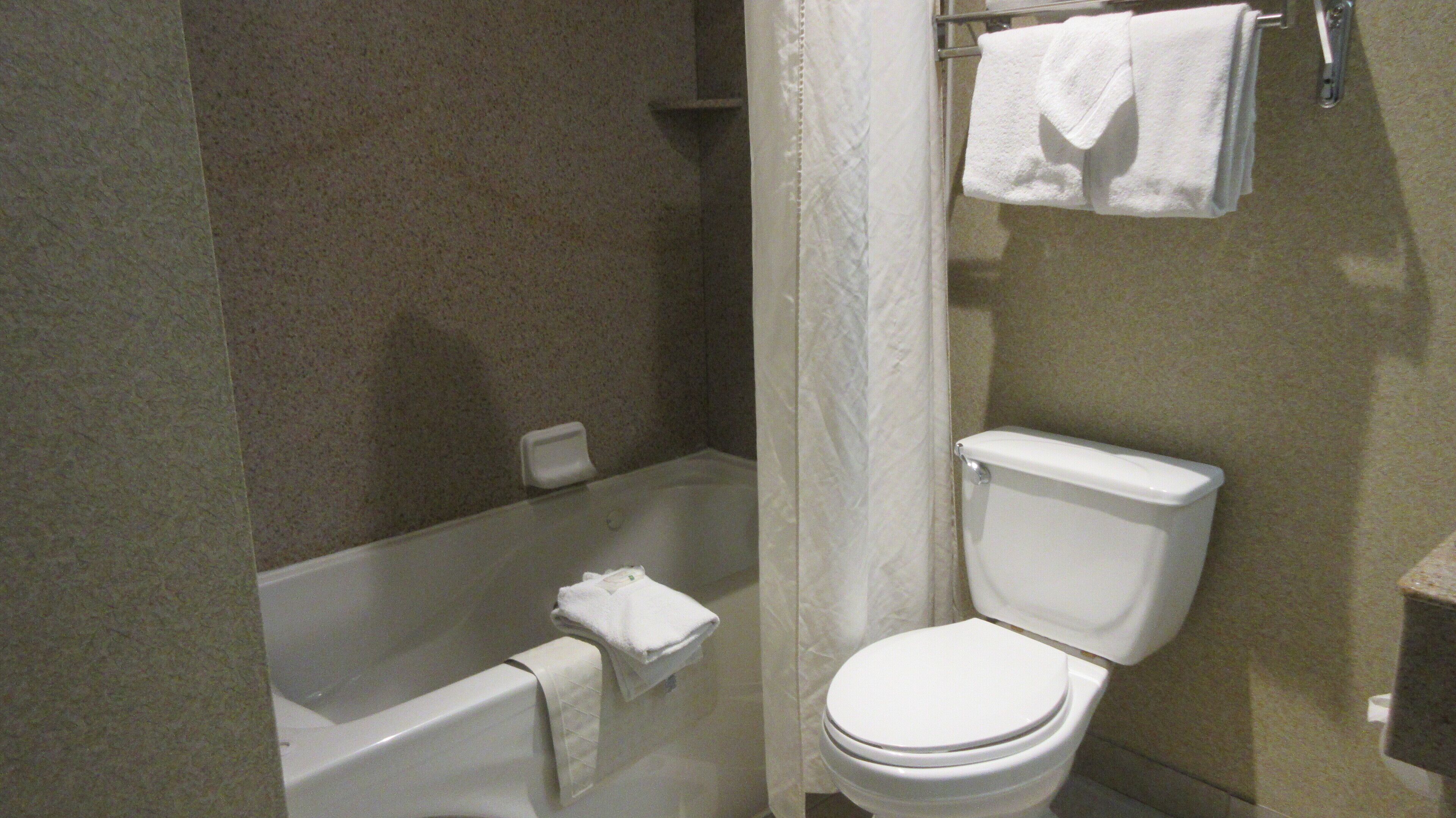 combined shower/bathtub, hair dryer, towels